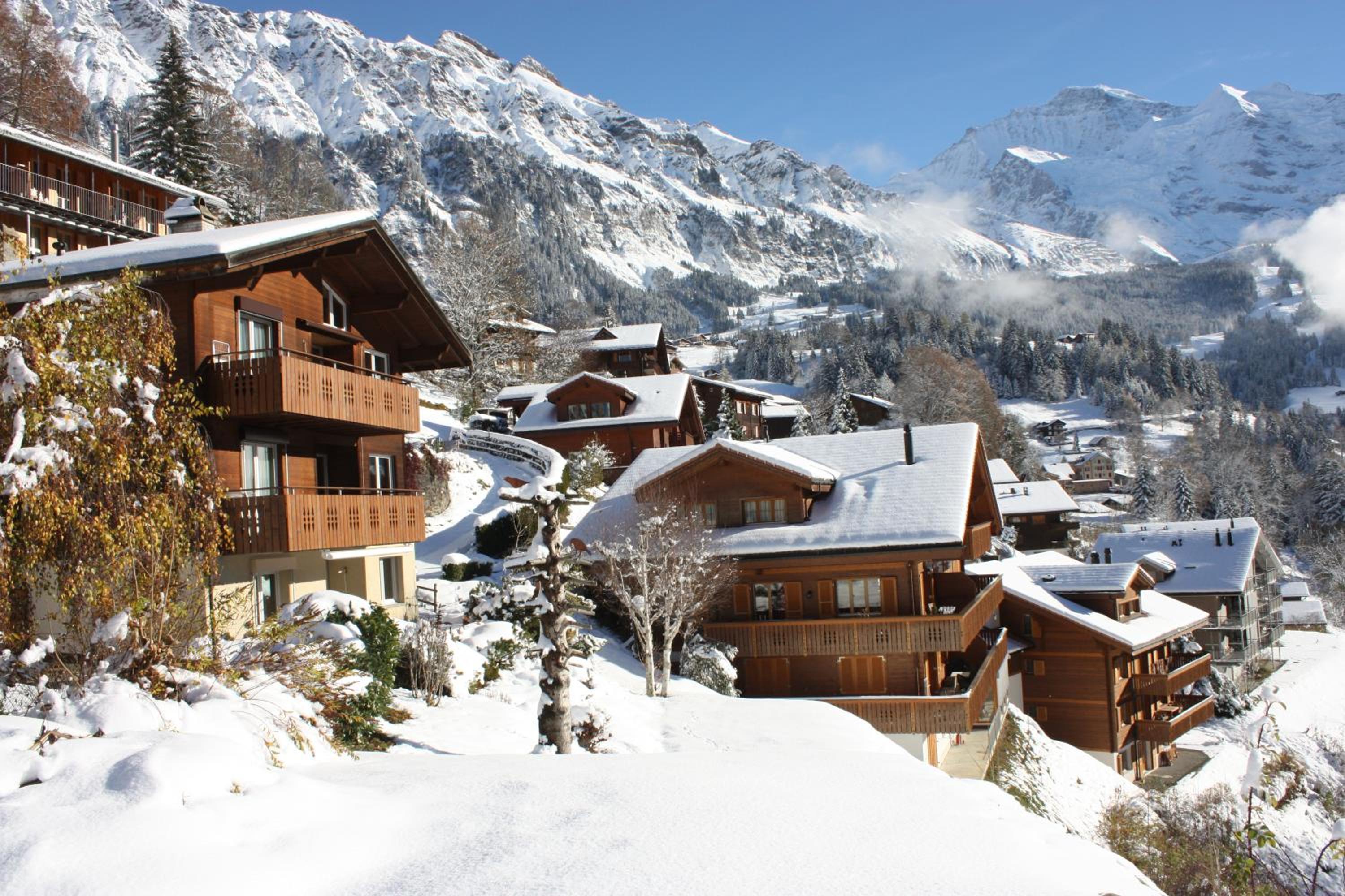 Chalet Gerbera view 4