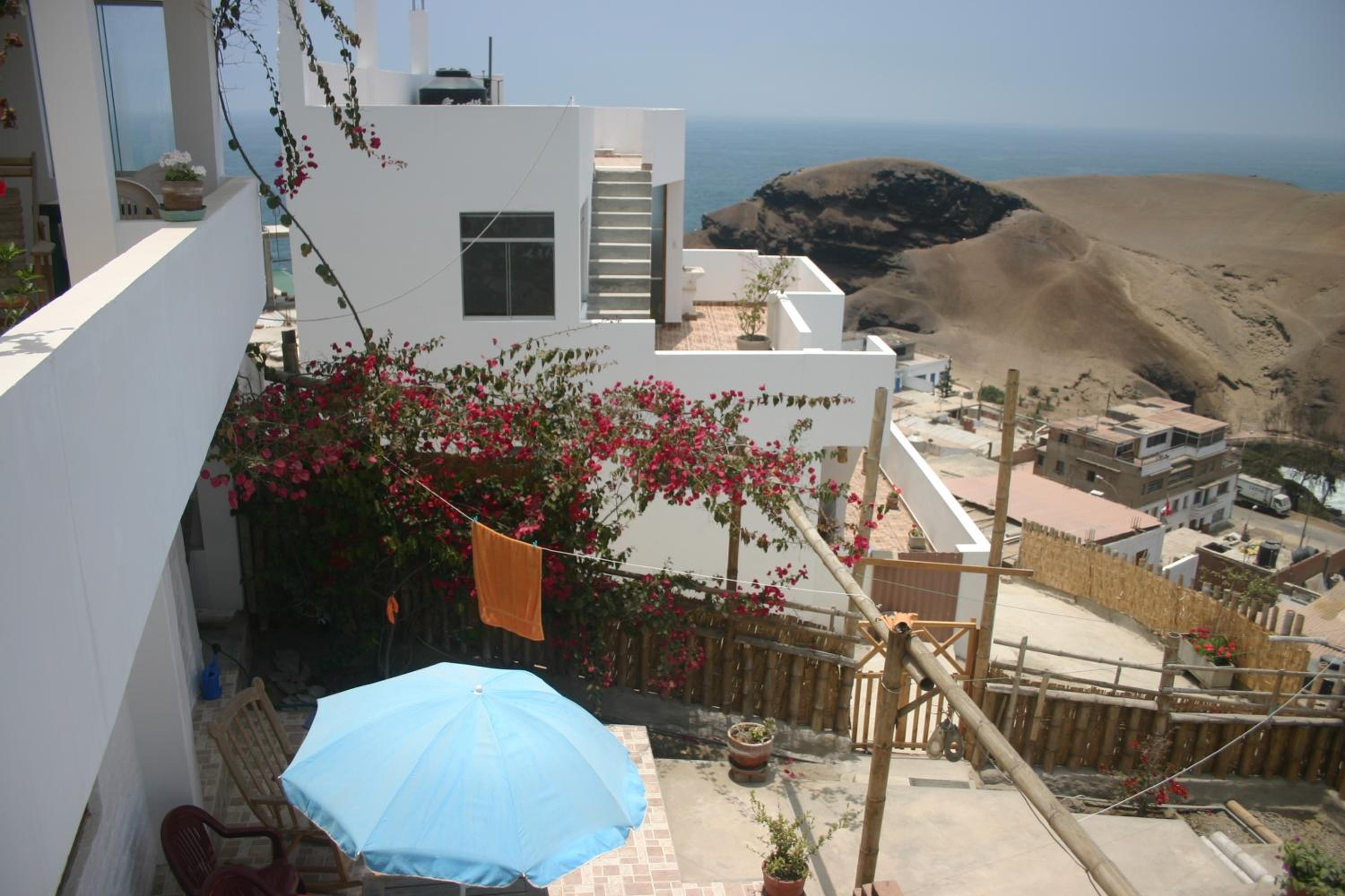 Photo 41