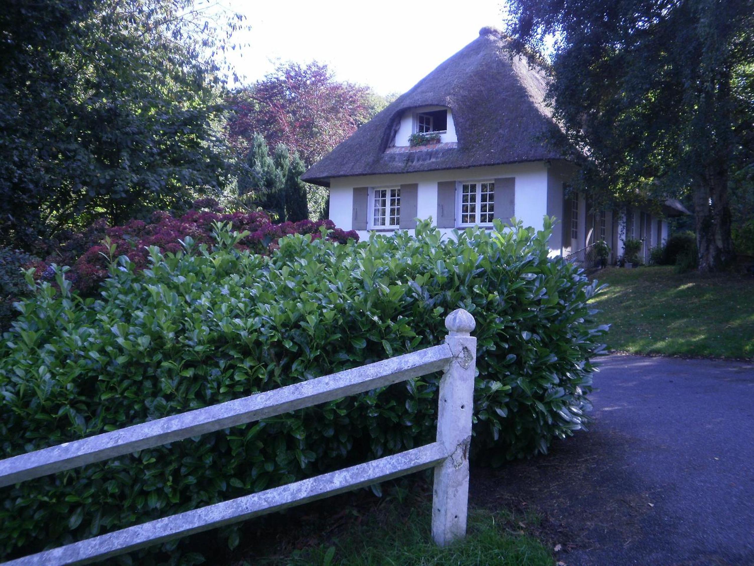 Photo 16