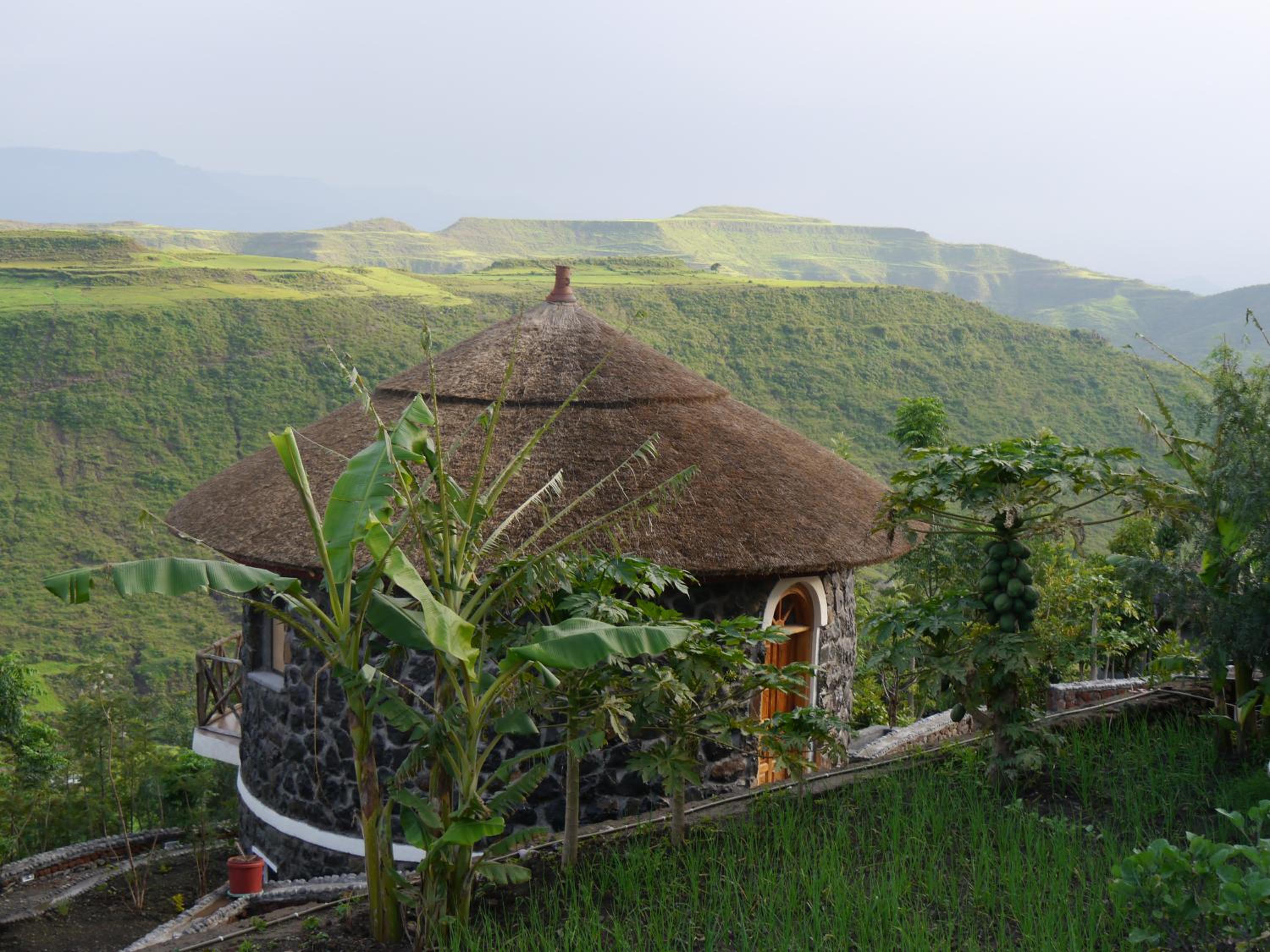 Sora Lodge Lalibela, photo 140