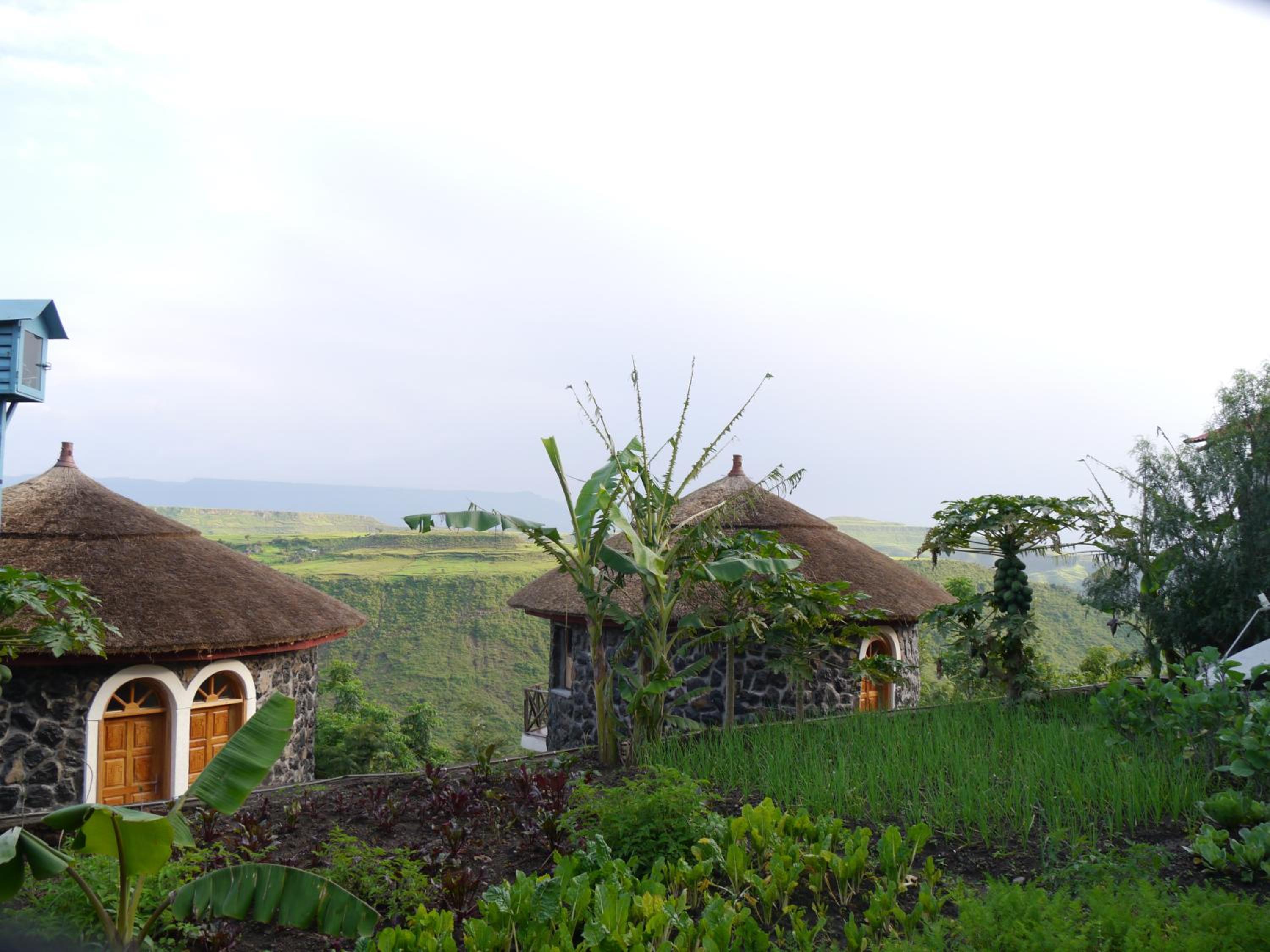 Sora Lodge Lalibela, photo 51