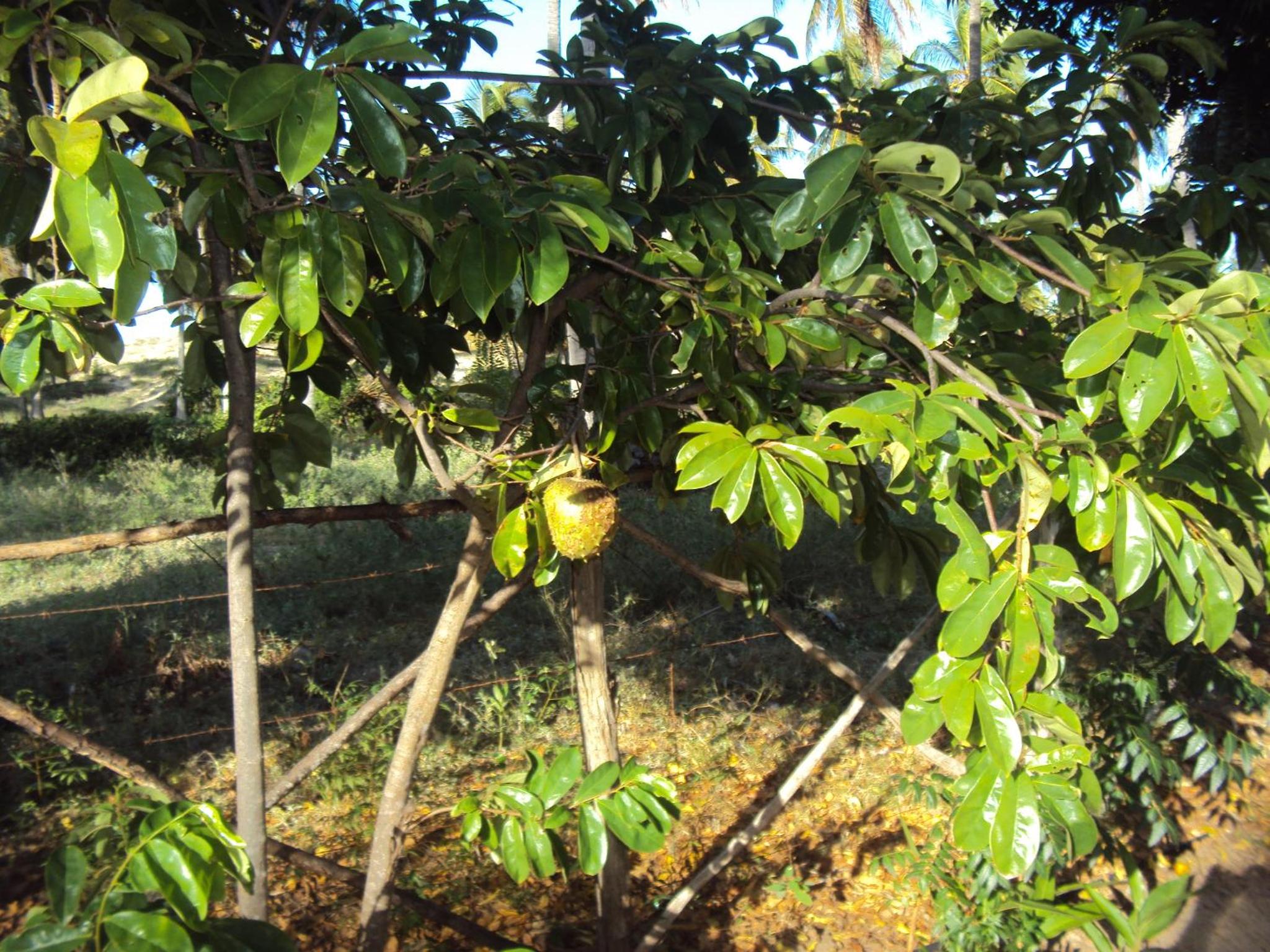 Villas de Guajirú, Casa 1