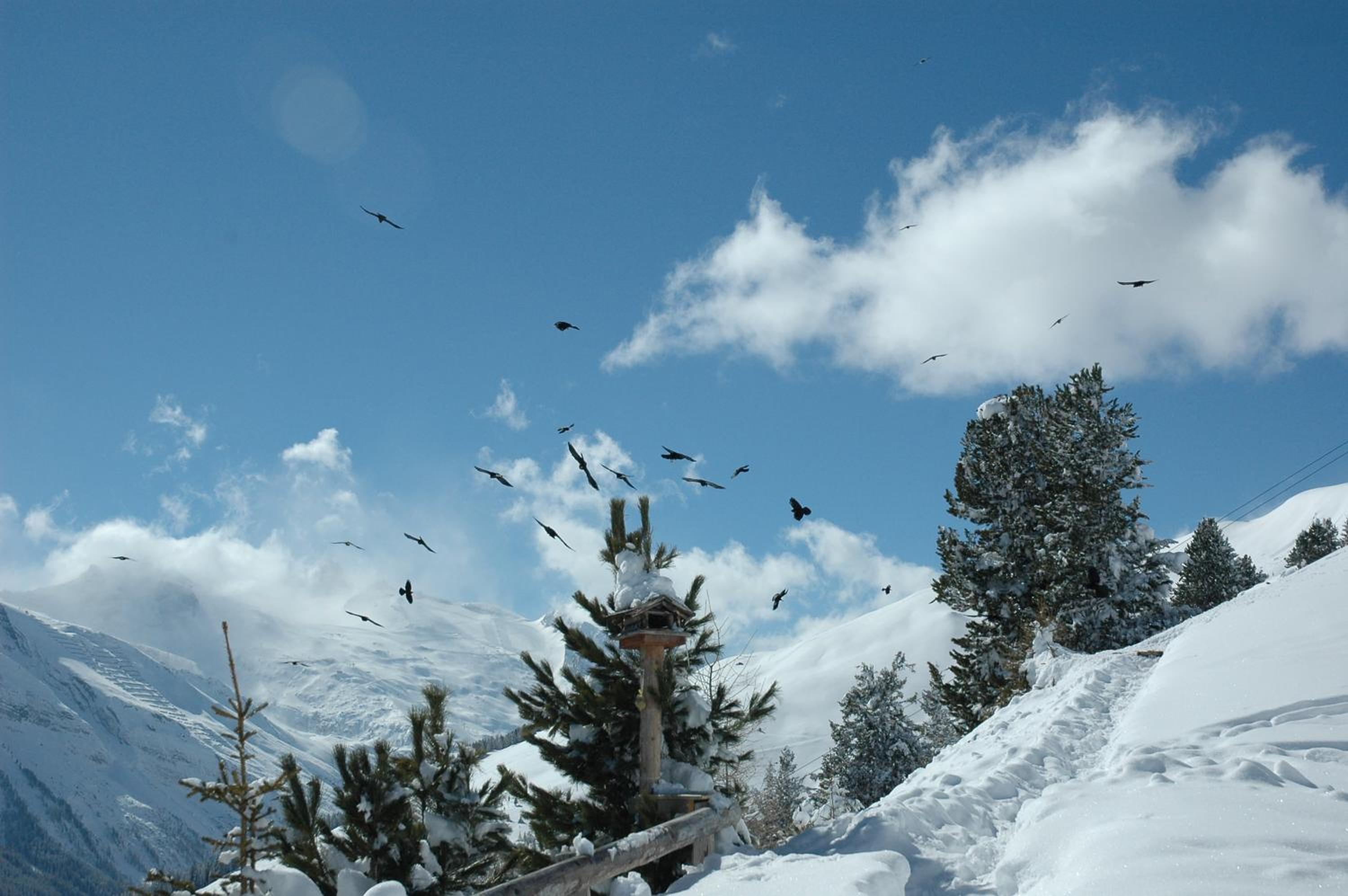 Photo 41
