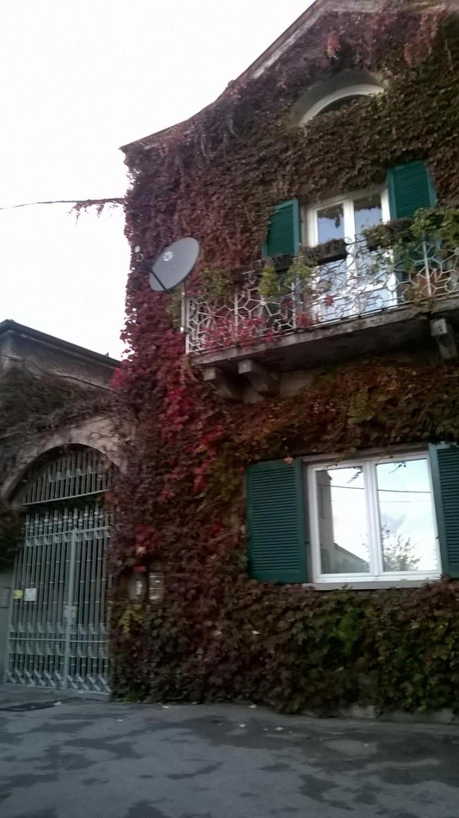 B&B Leon d'Oro view 5