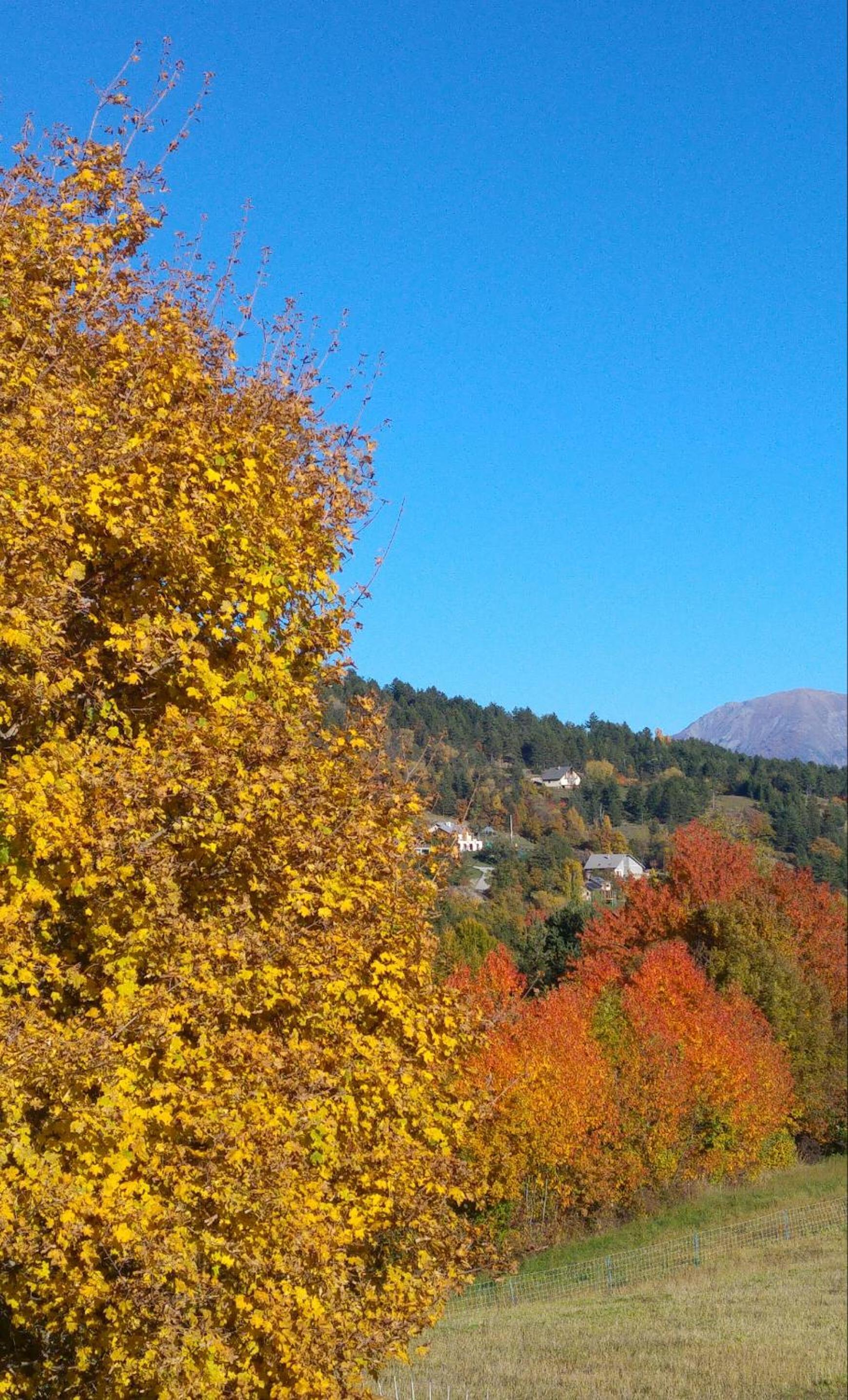 Les Roches Fleuries view 5