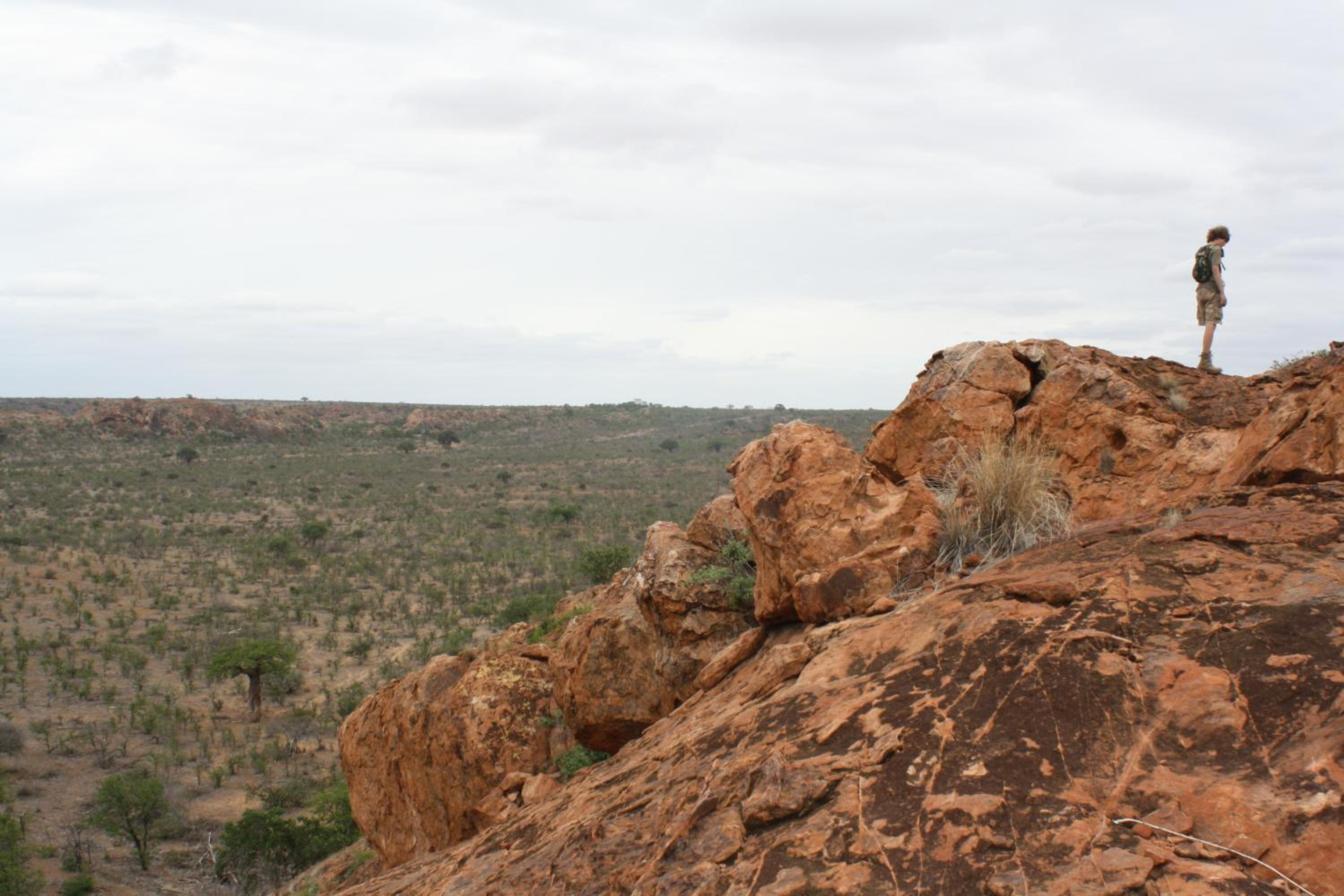 Photo 16