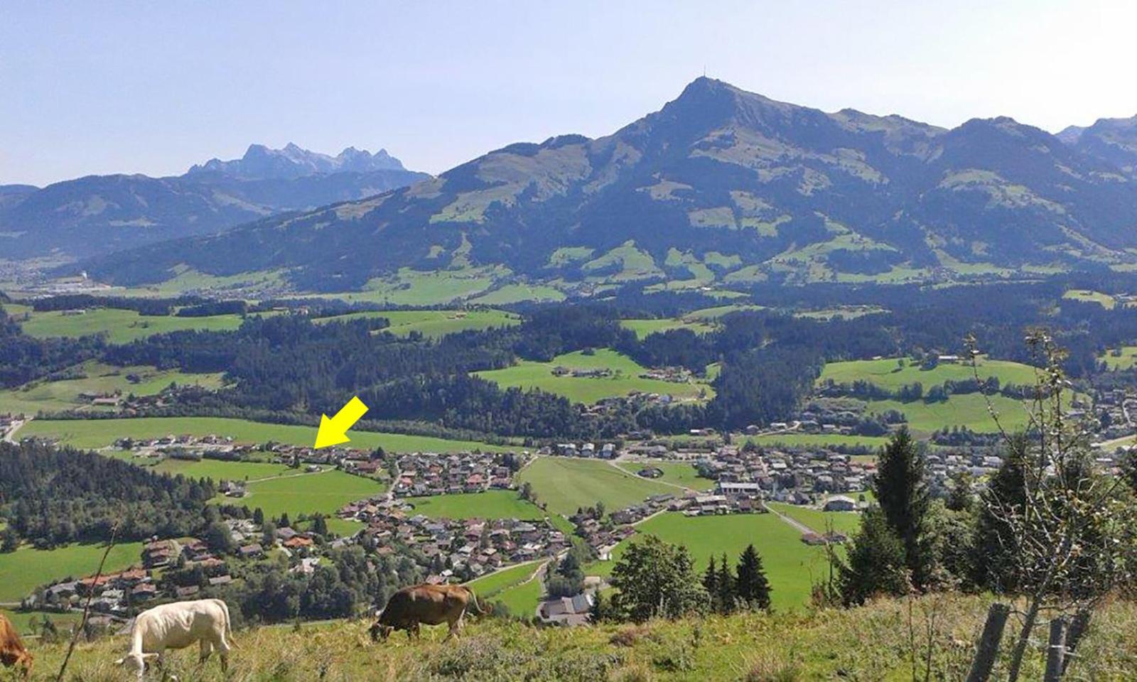 Marie Luise, Landhaus