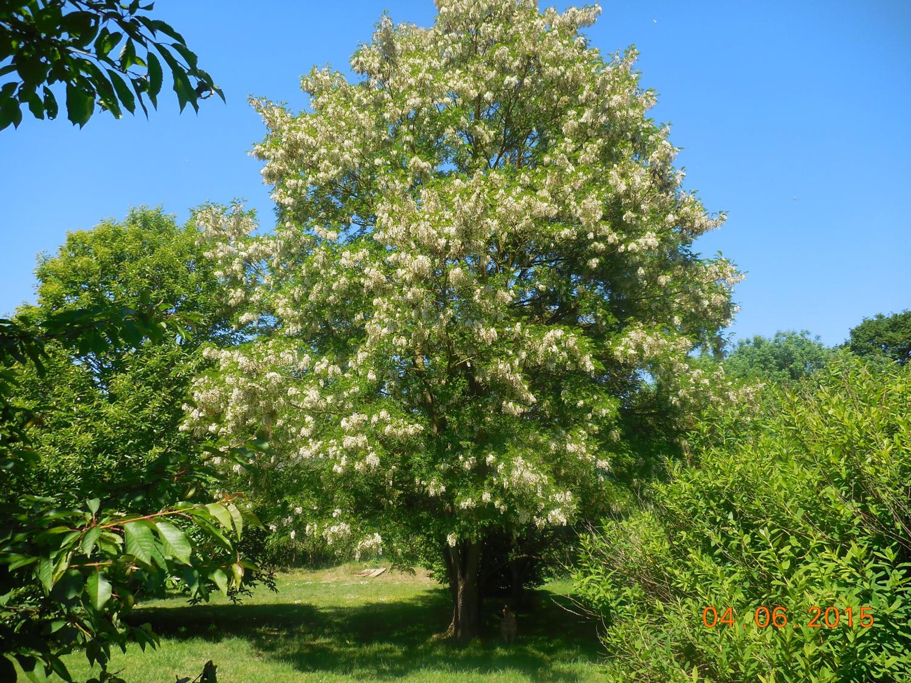 Photo 24