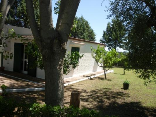 Photo 36