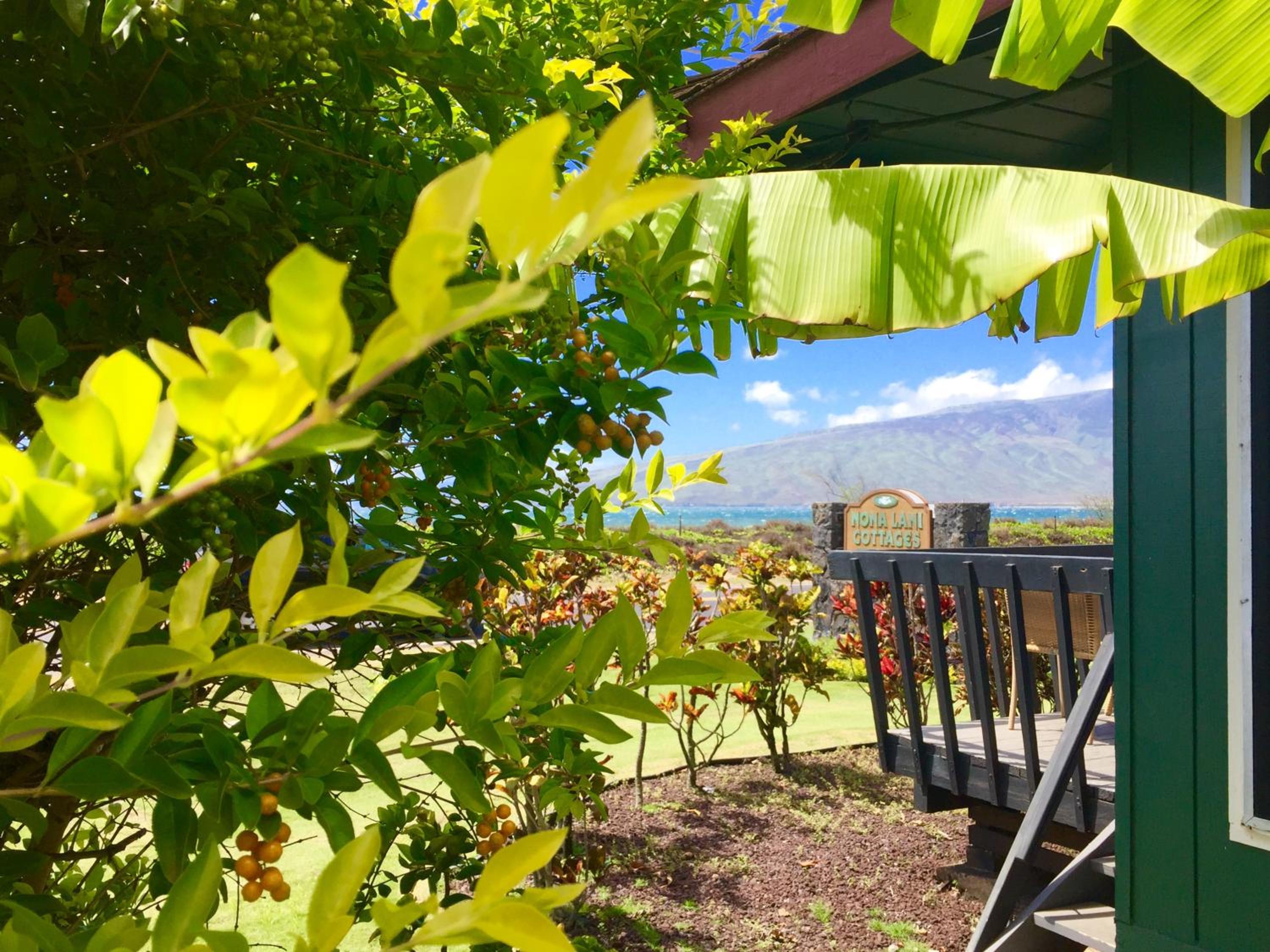 Nona Lani Cottages