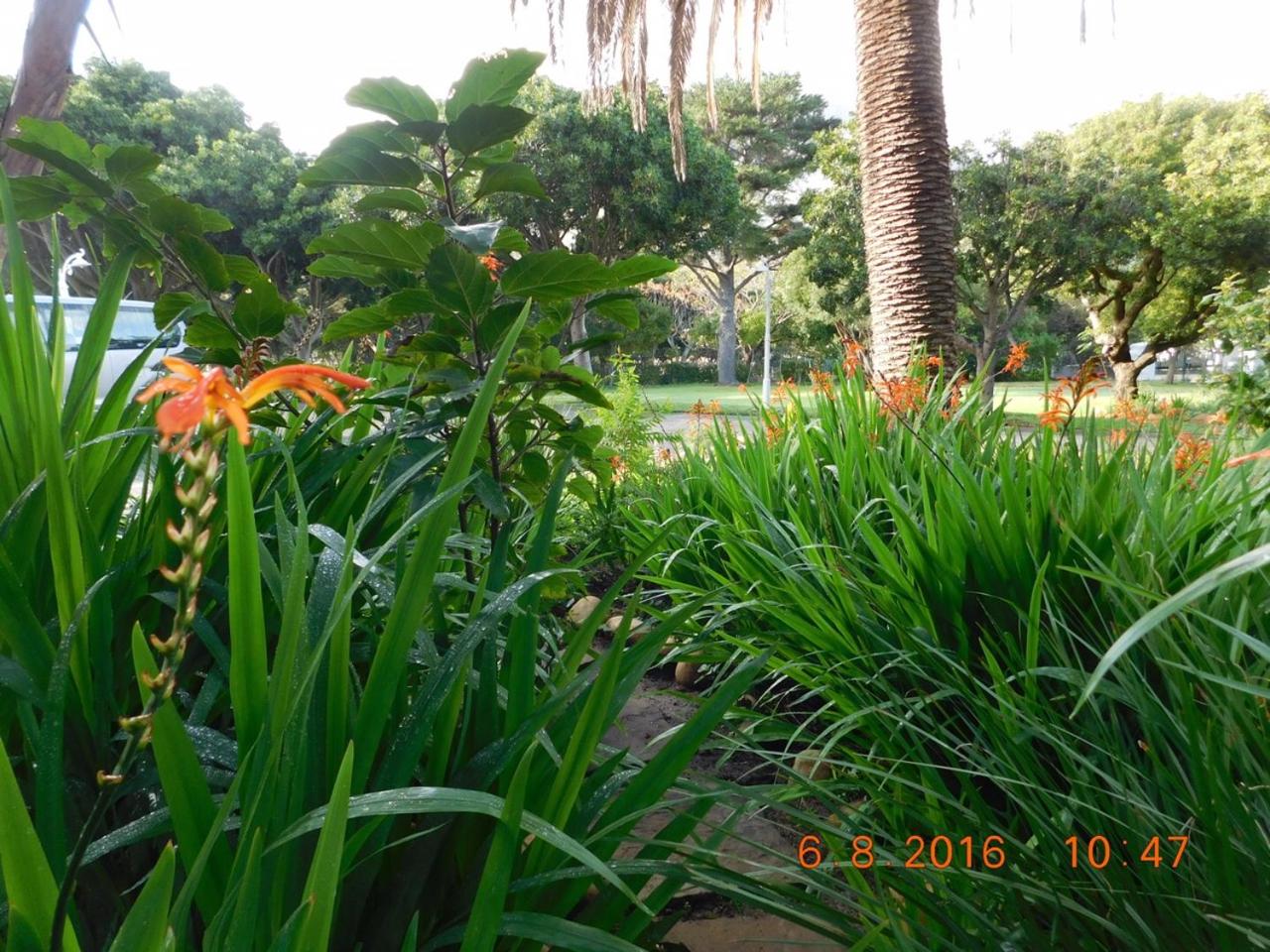 Photo 38