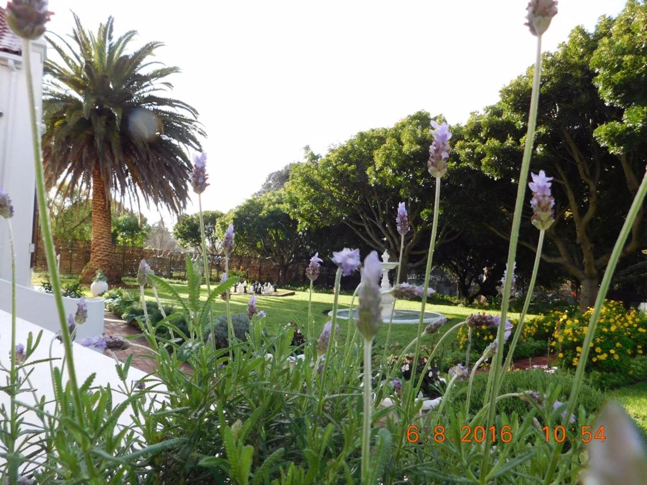 Photo 41