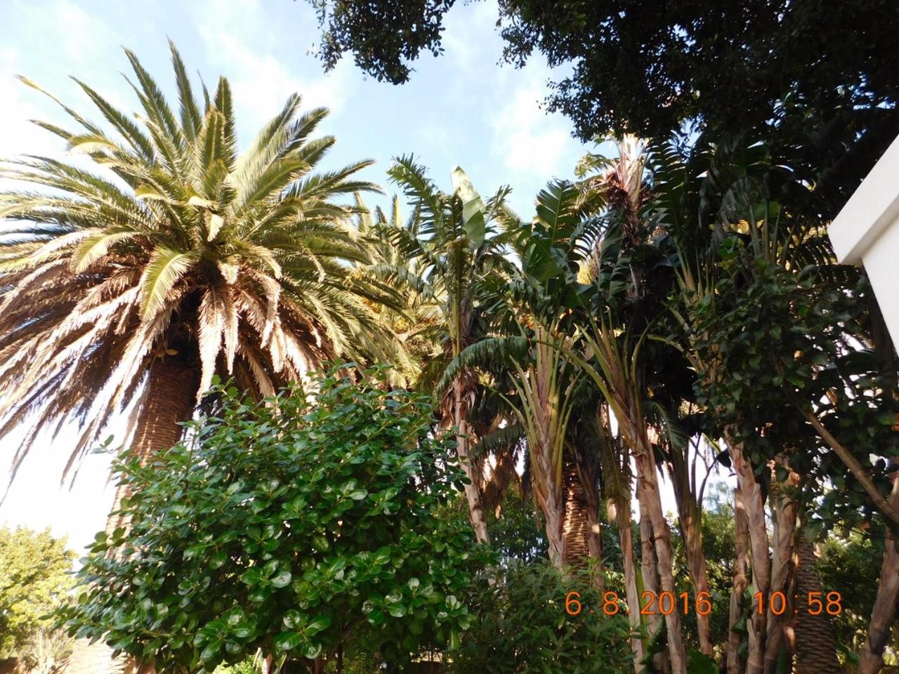 Photo 42