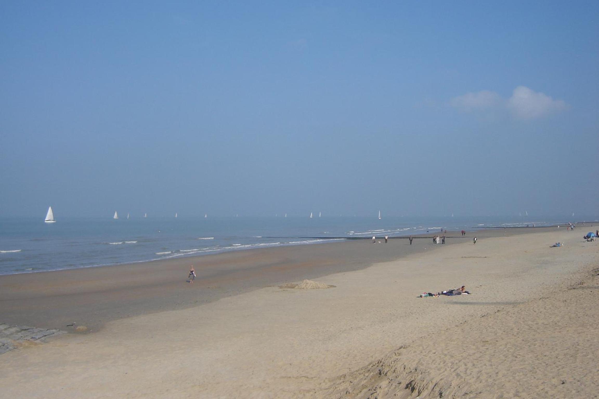 Photo 46