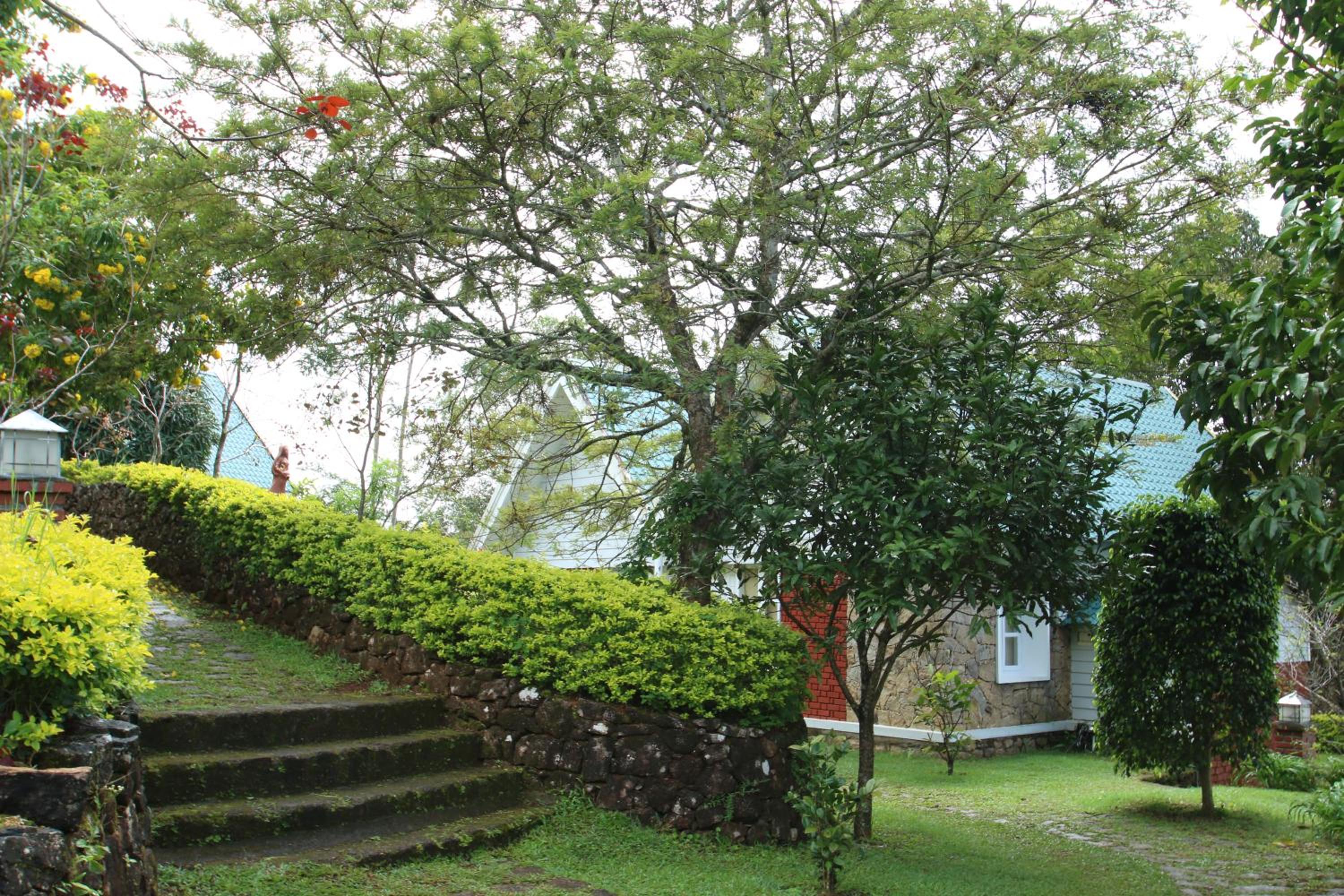 Photo 36
