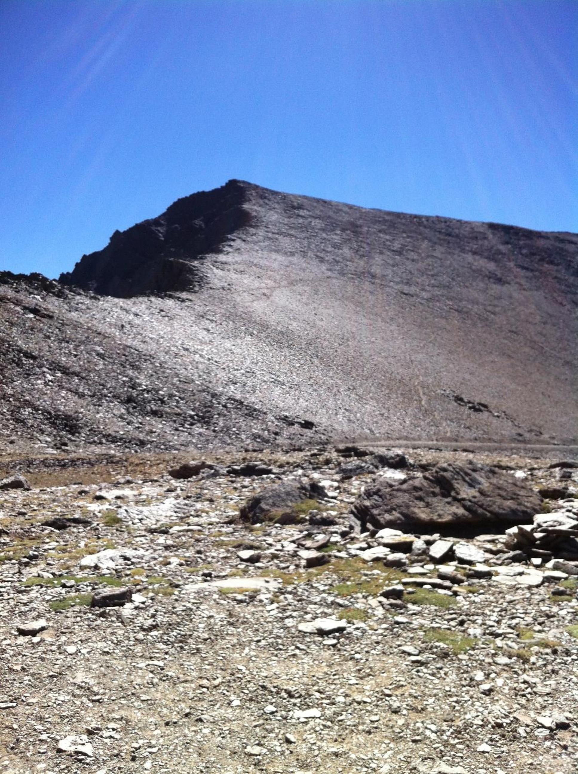 Photo 26