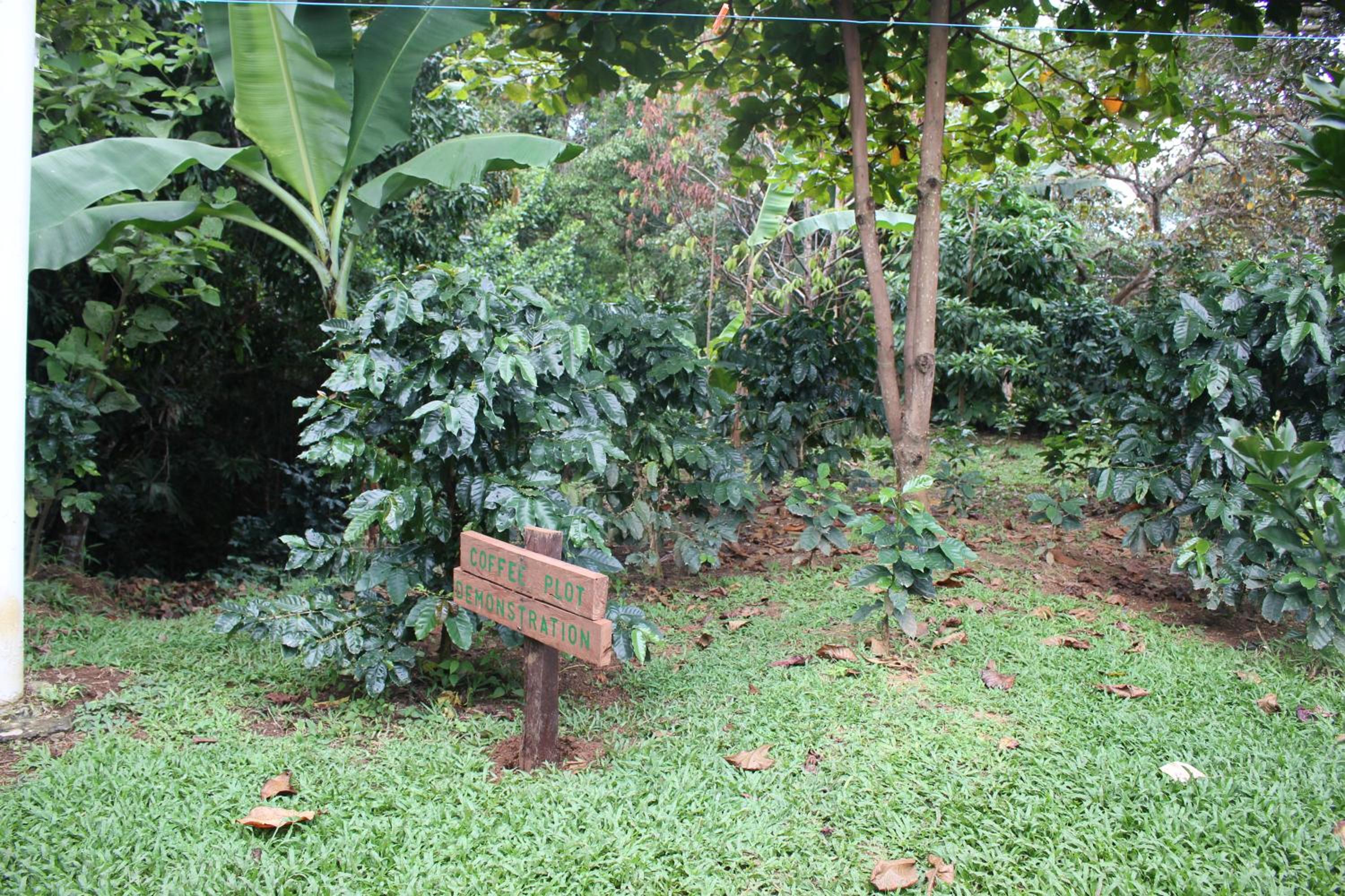 Photo 29