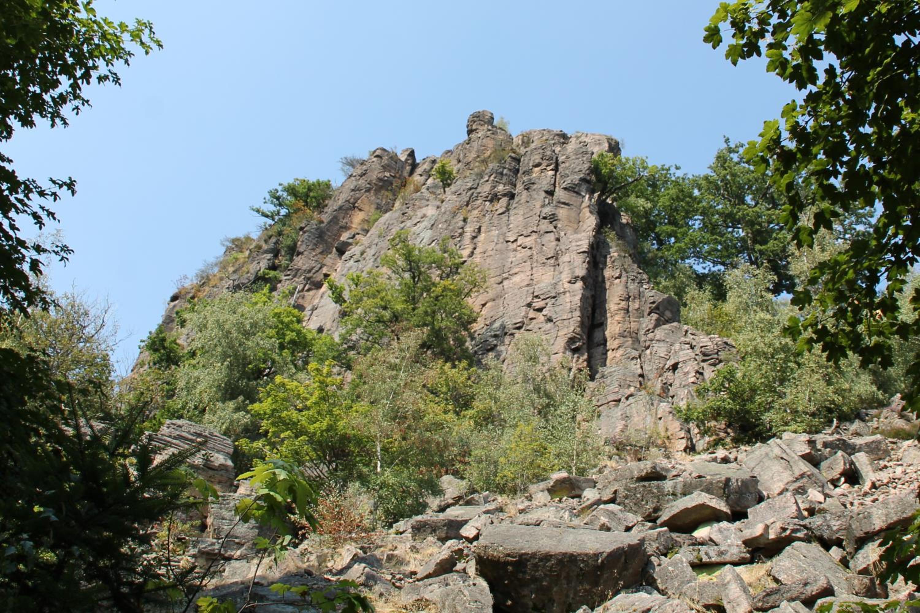 Photo 28