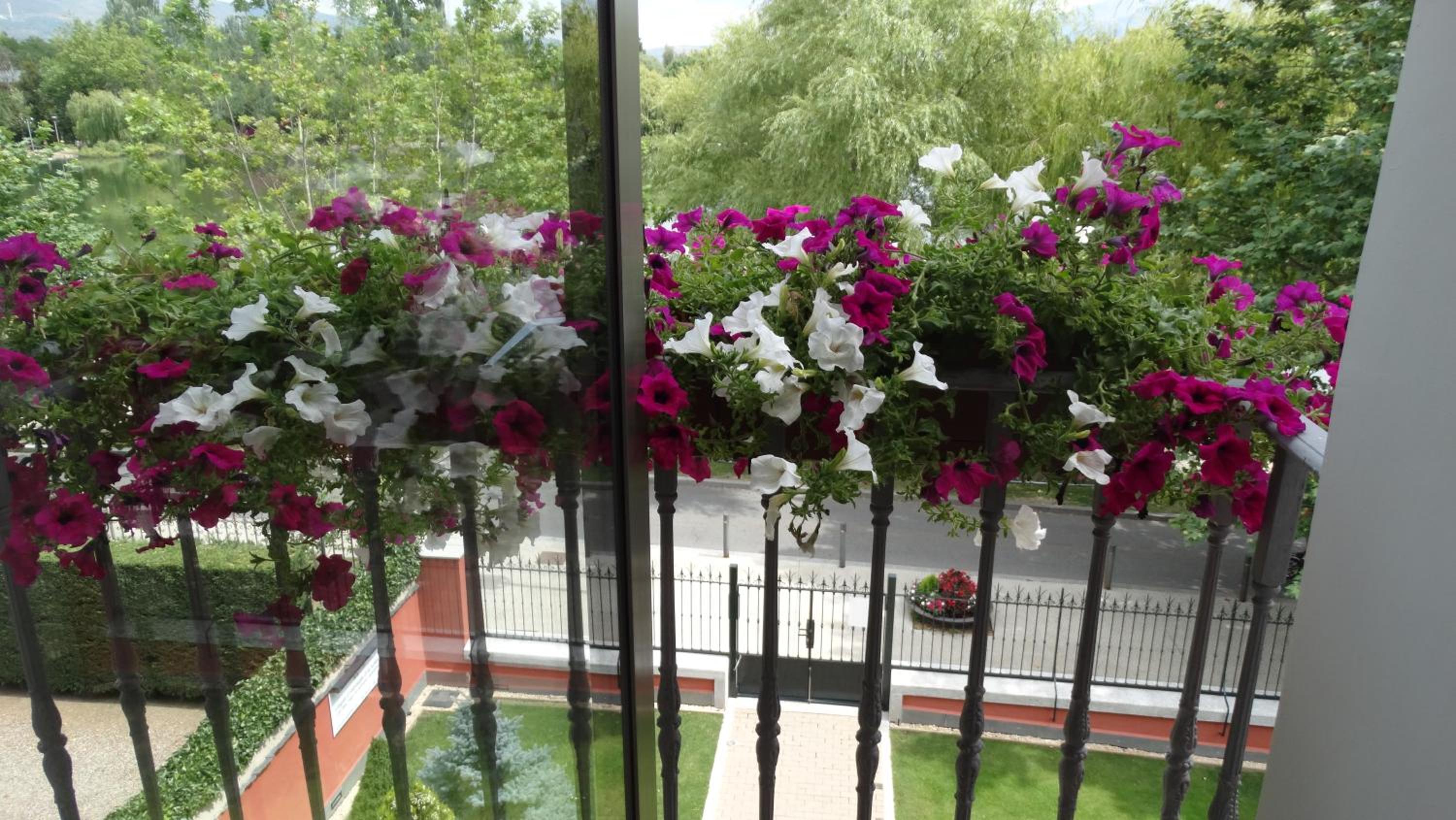 Photo 46