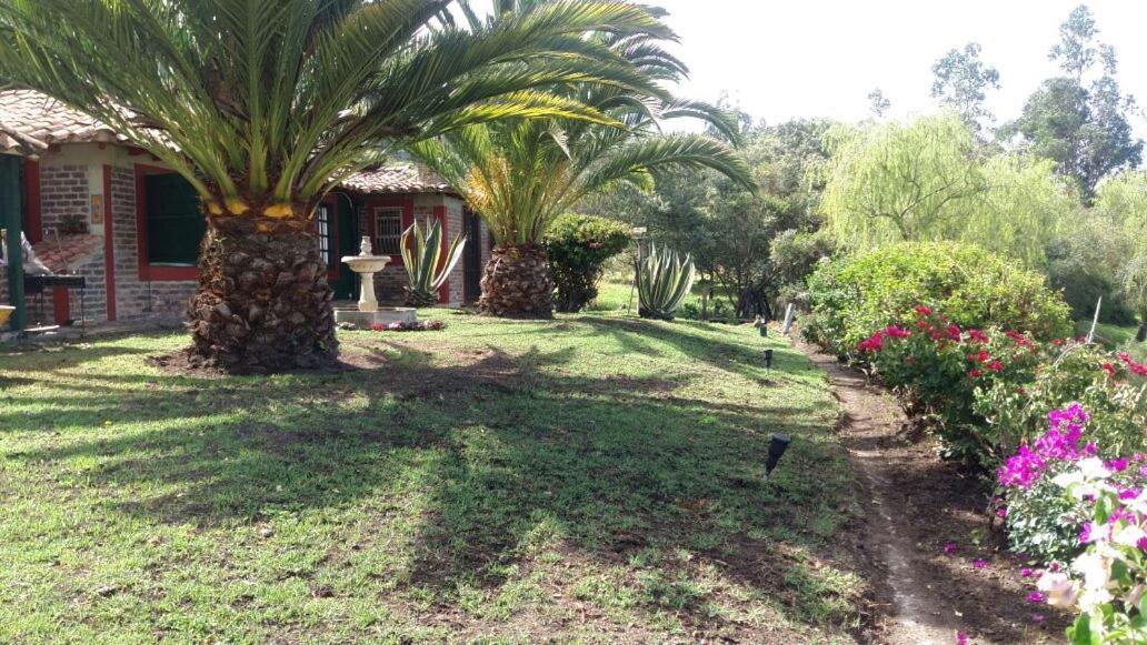 Cabaña NIDO VERDE