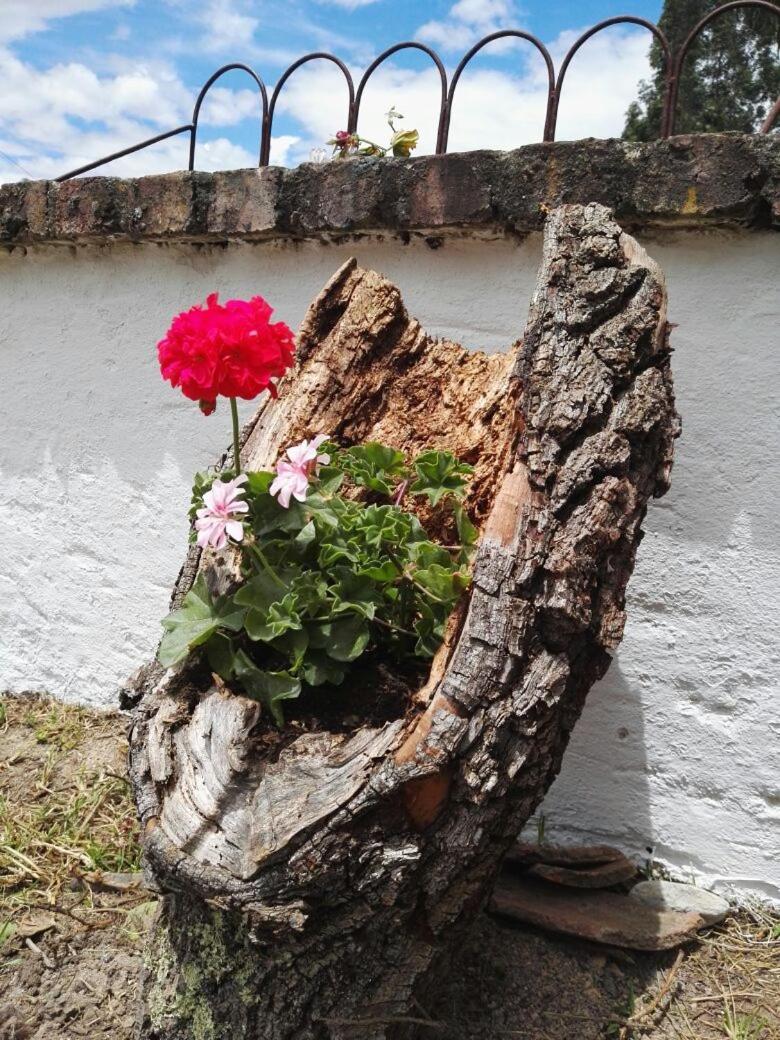 Cabaña NIDO VERDE