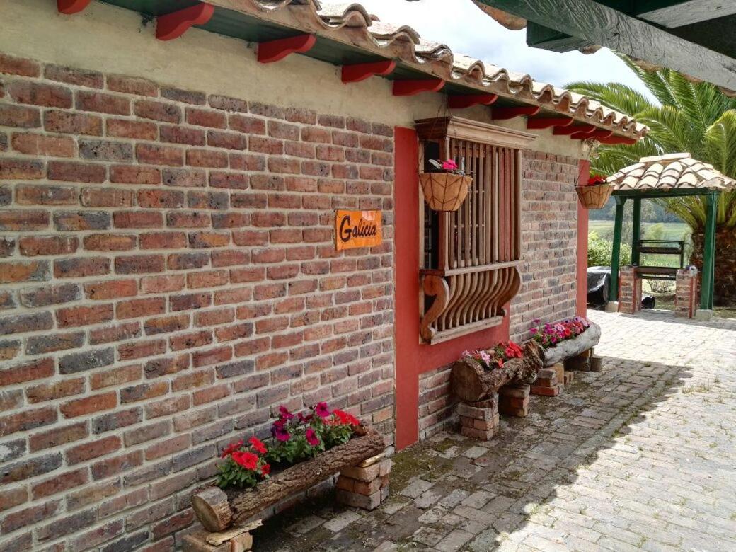 Cabaña NIDO VERDE