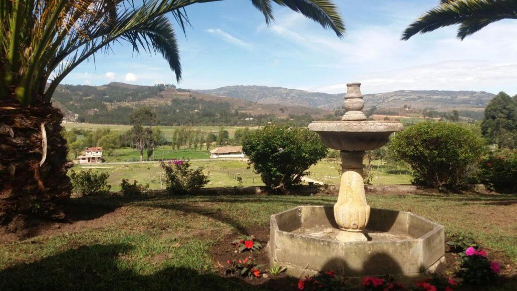 Cabaña NIDO VERDE