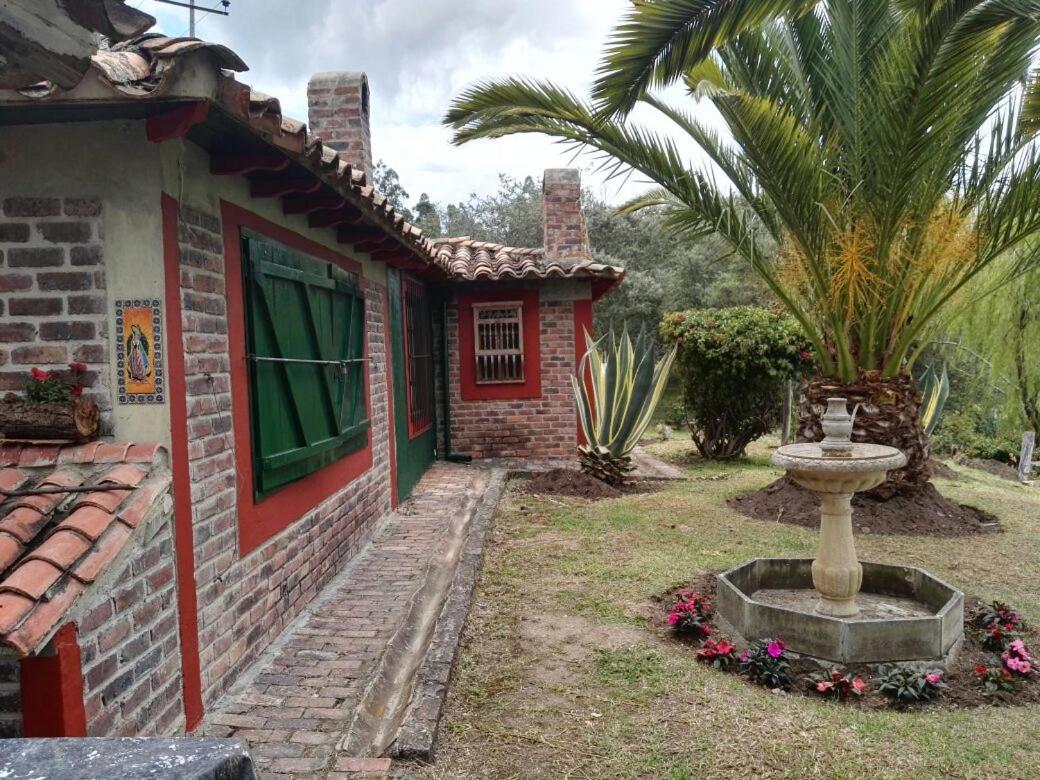 Cabaña NIDO VERDE