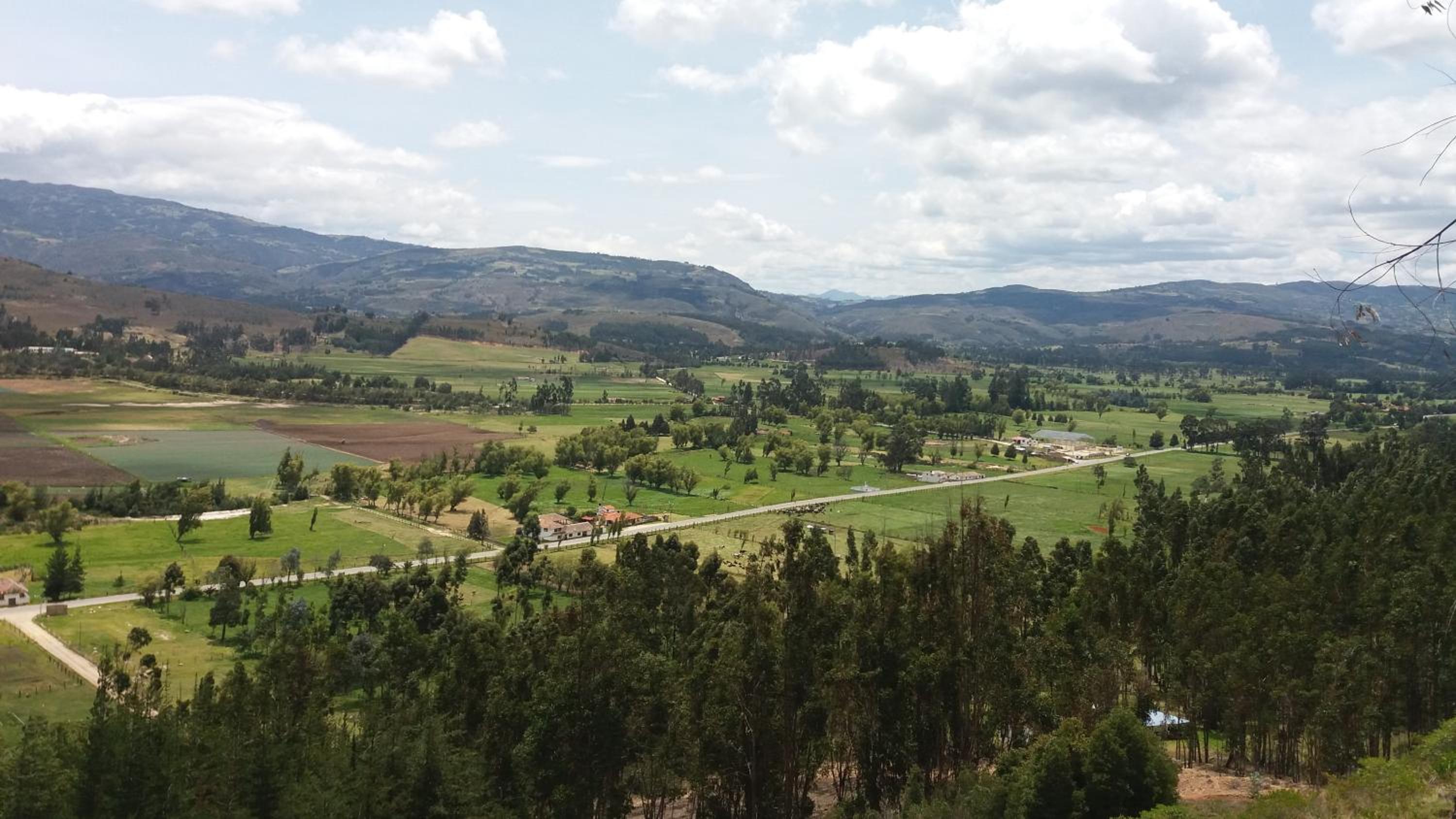 Cabaña NIDO VERDE