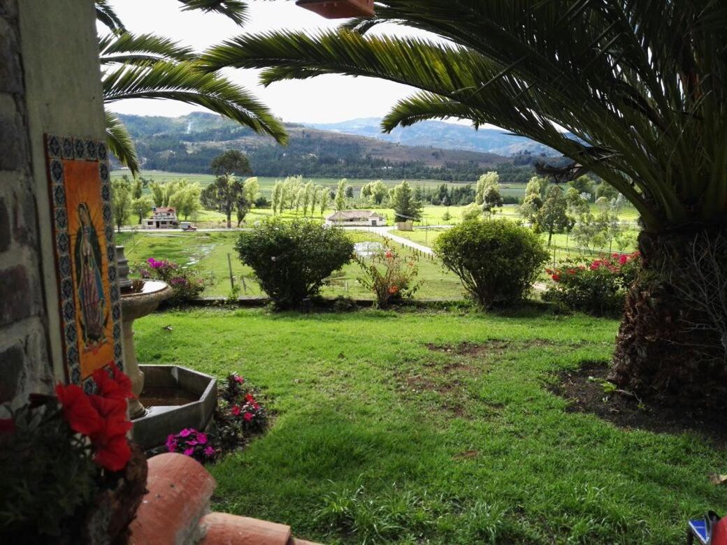 Cabaña NIDO VERDE