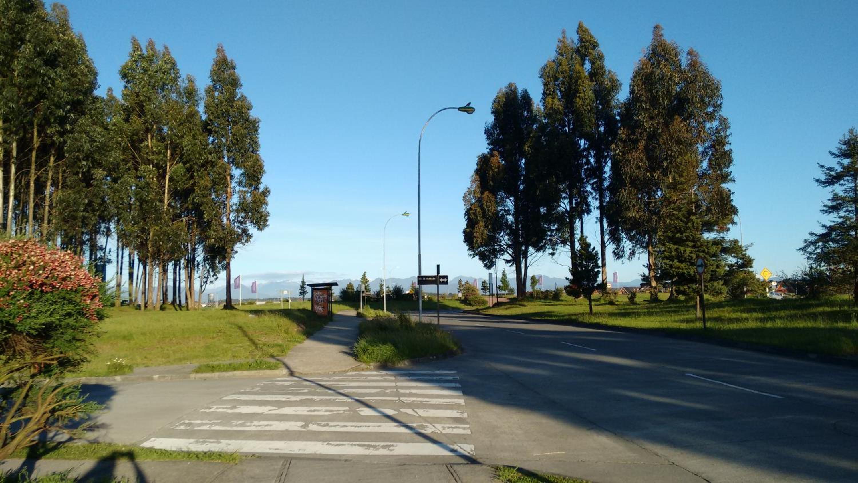 Departamentito Austral view 4