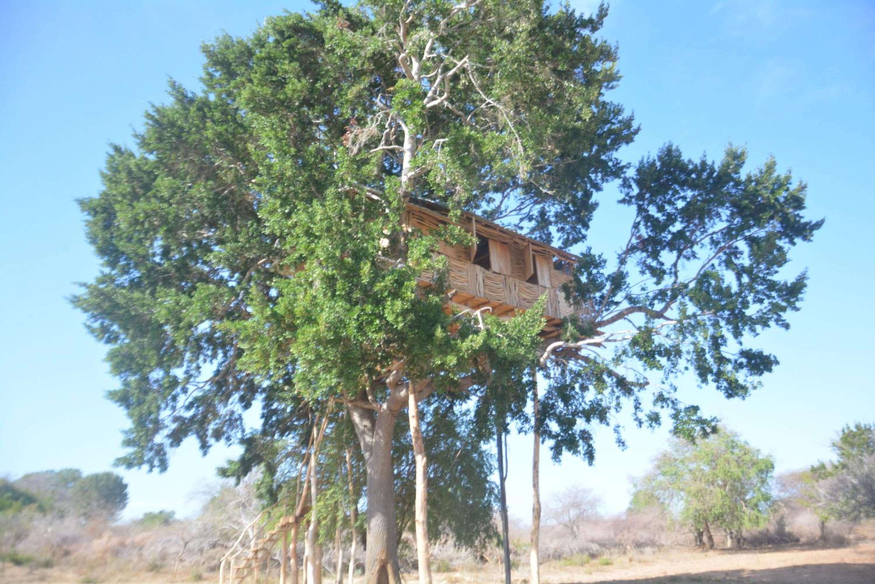Photo 42
