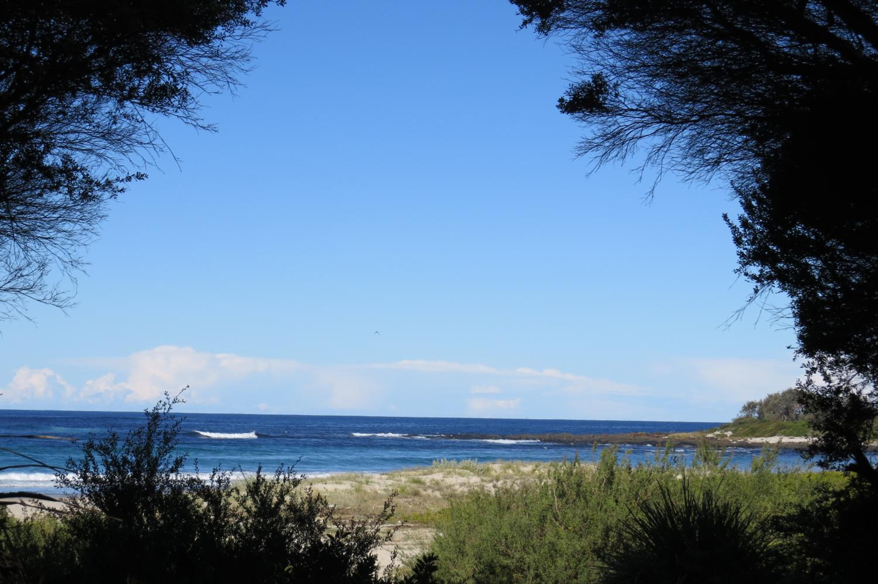 BIG4 Tasman Holiday Parks - Racecourse Beach