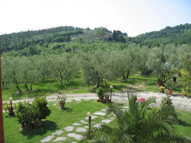 Photo 40