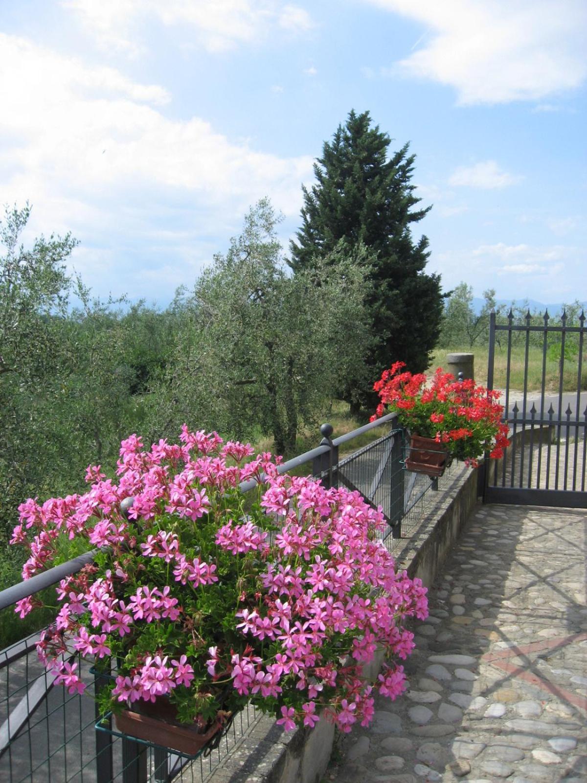 Photo 41