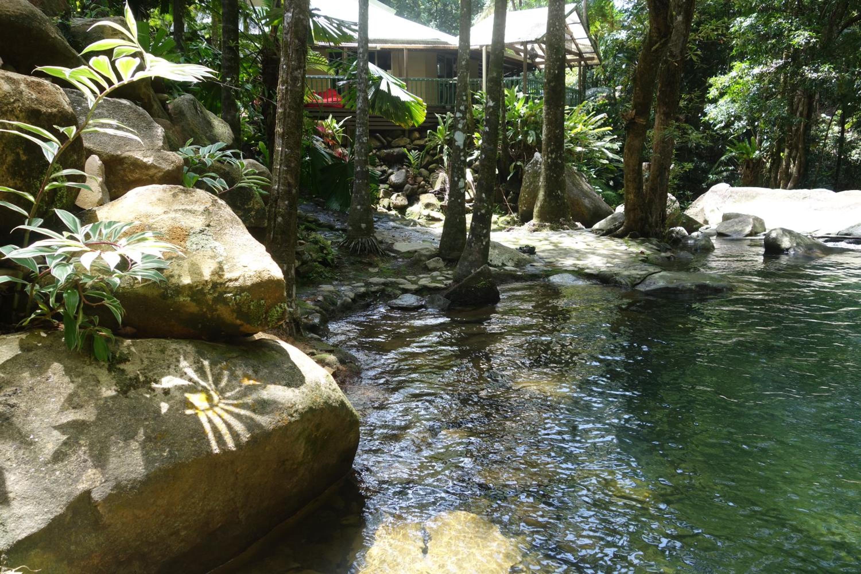 Daintree Secrets Rainforest Sanctuary