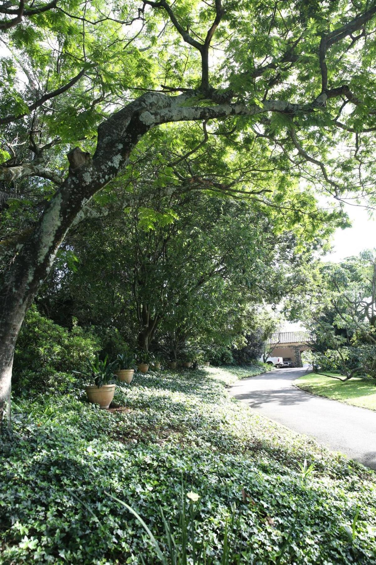 Lexden Guesthouse