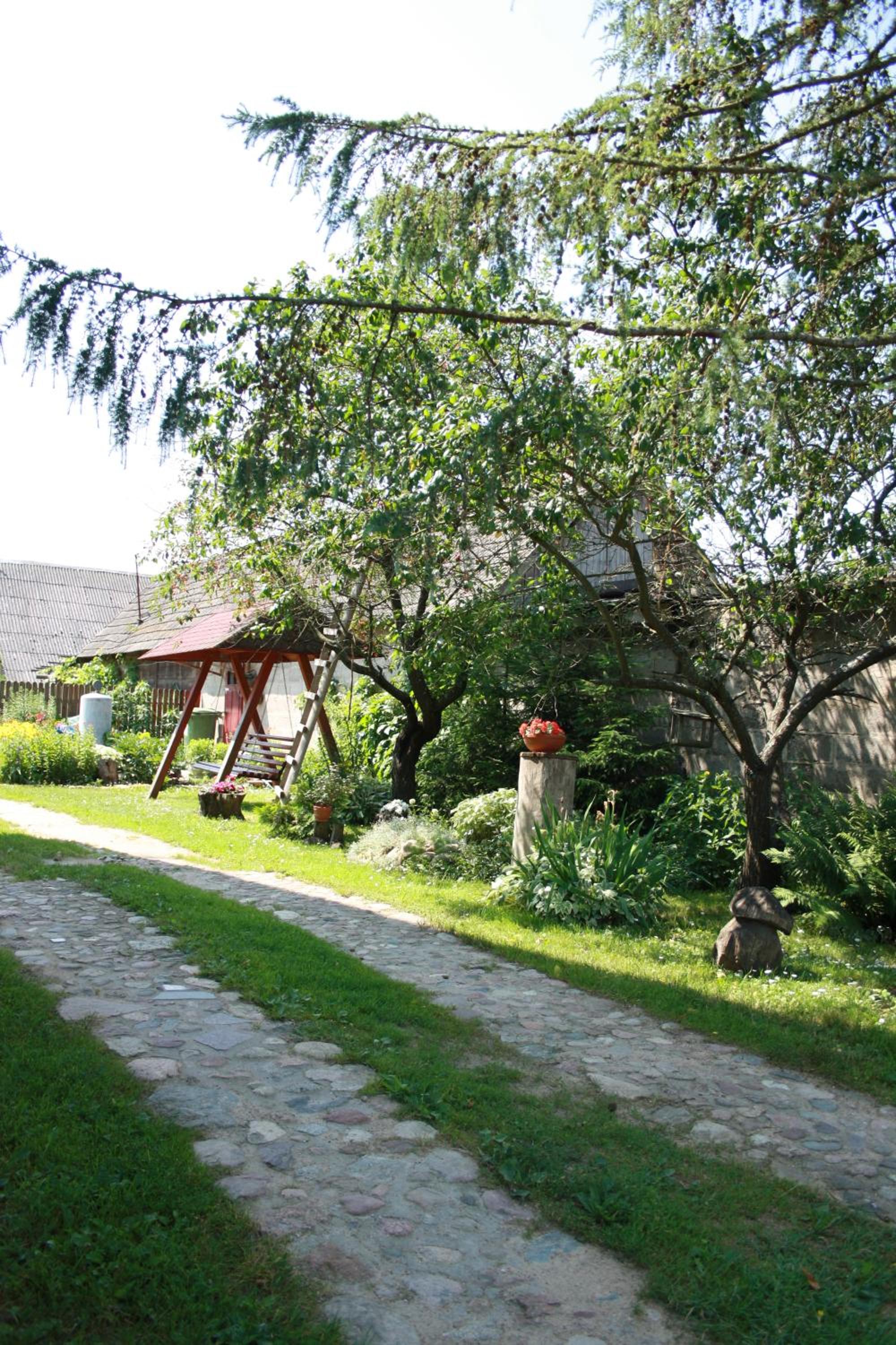 Photo 22