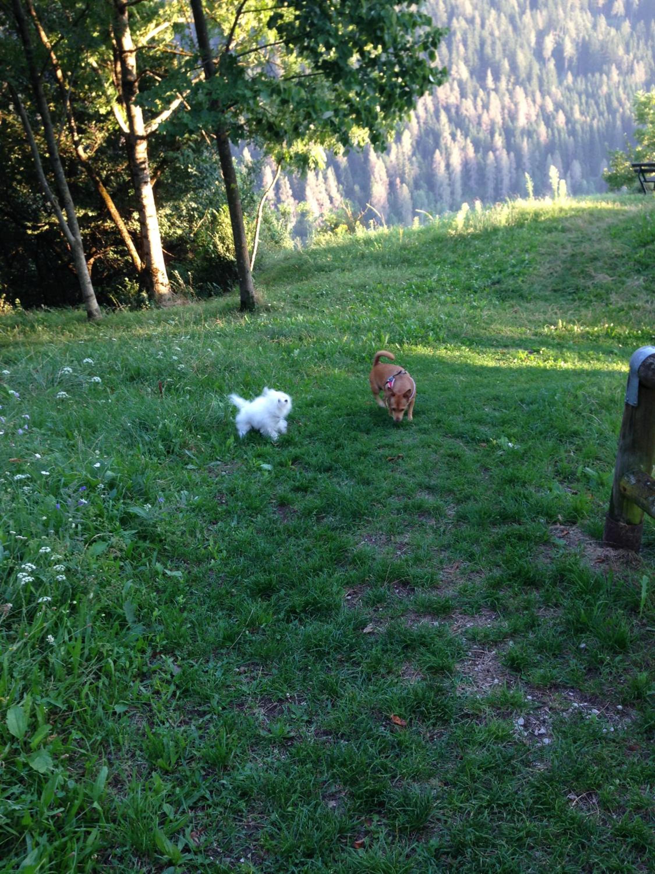 Photo 15