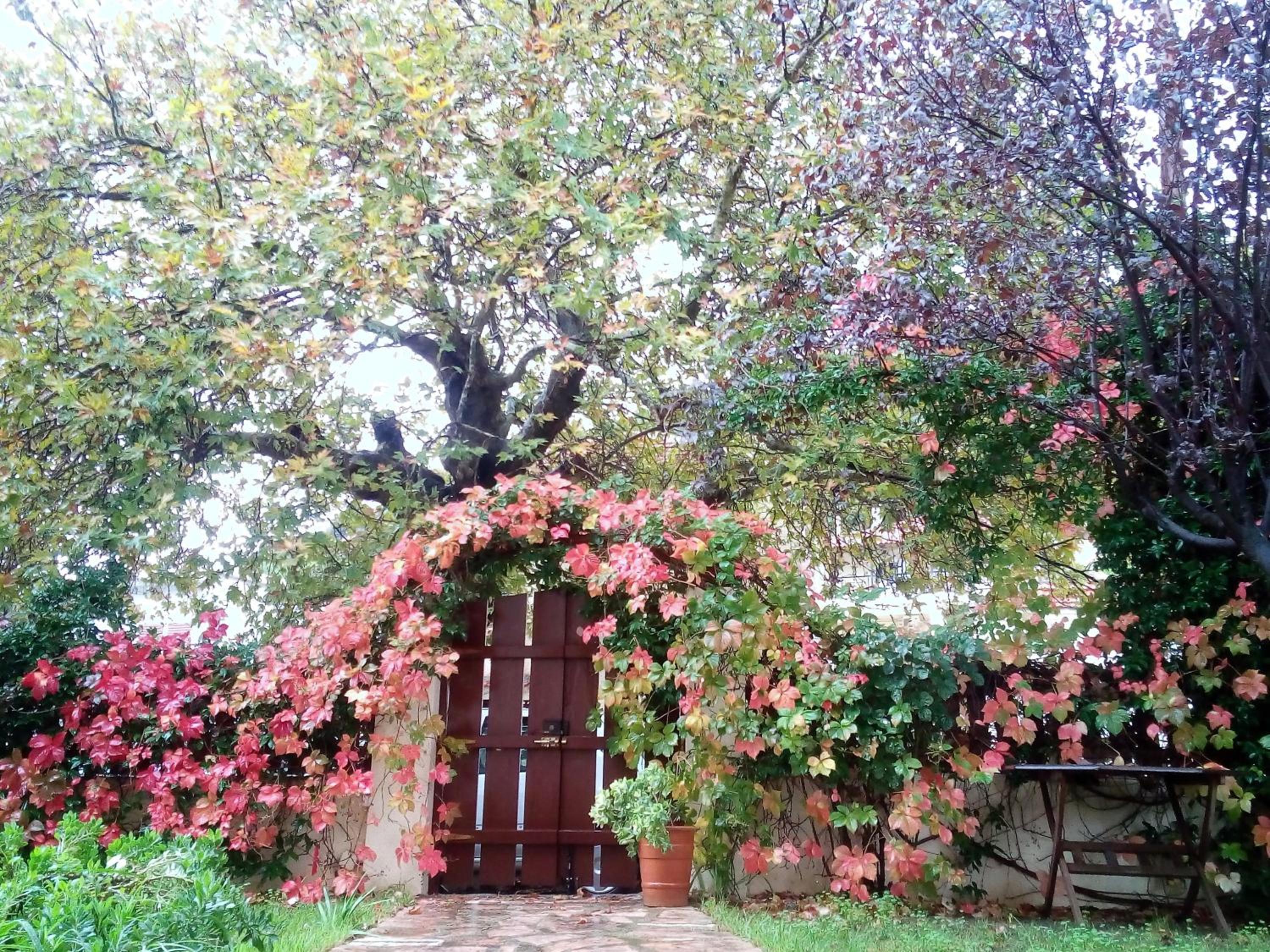 Photo 48