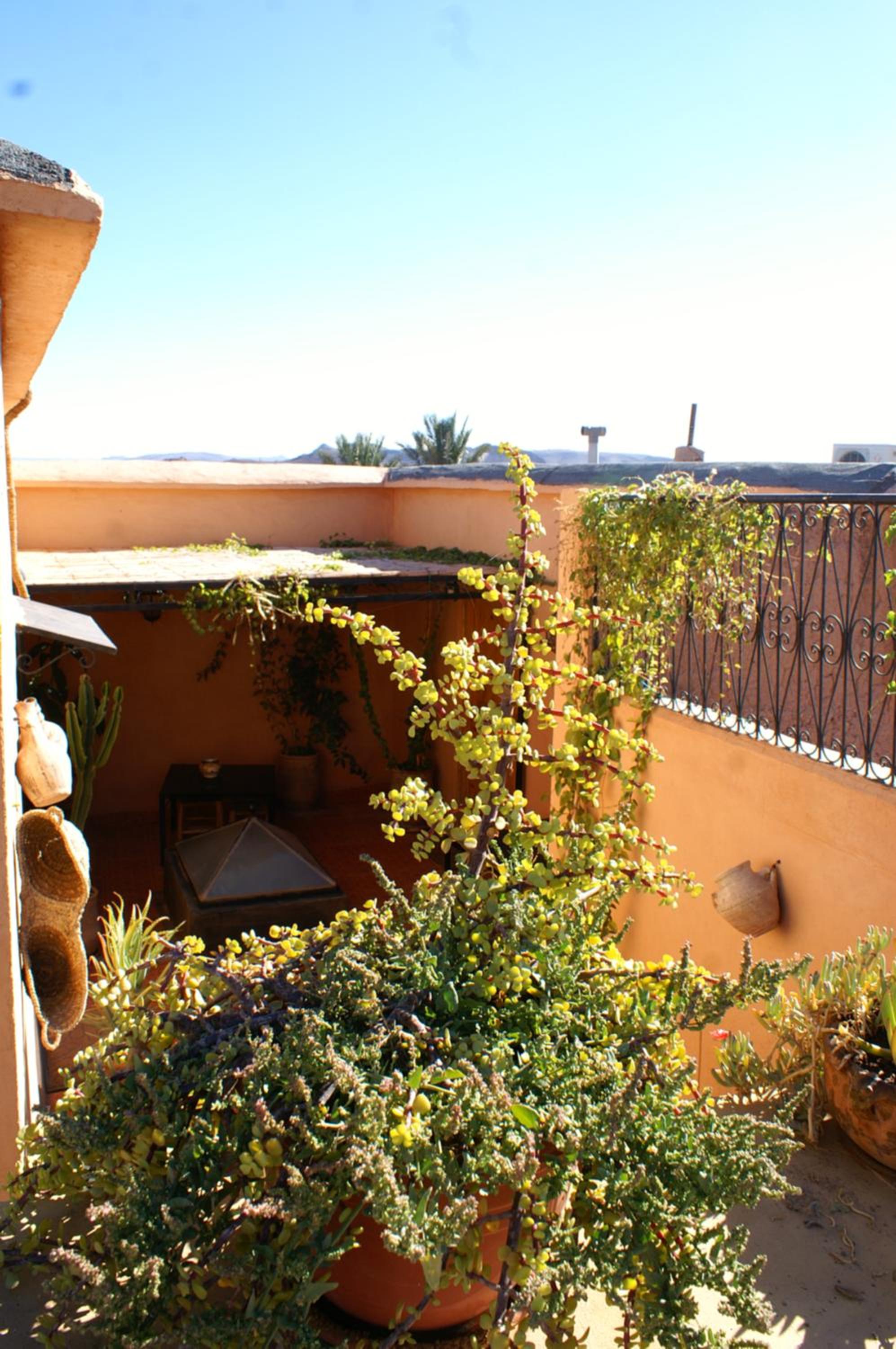 Photo 42