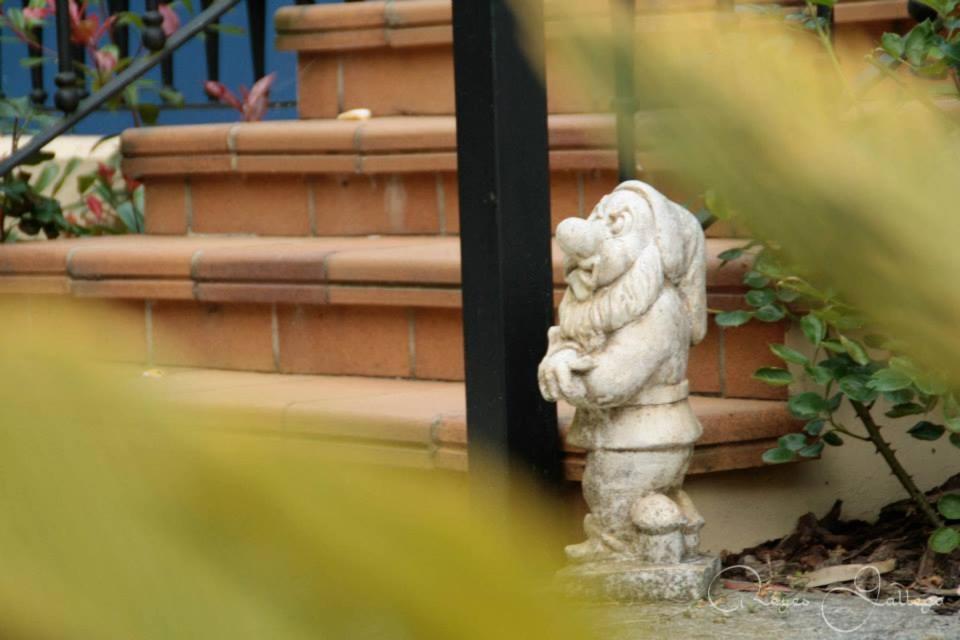 Photo 29