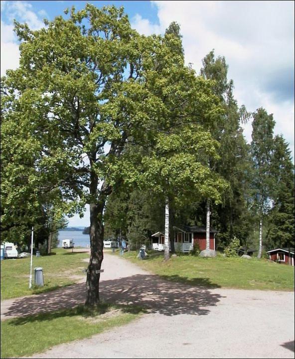 Photo 36