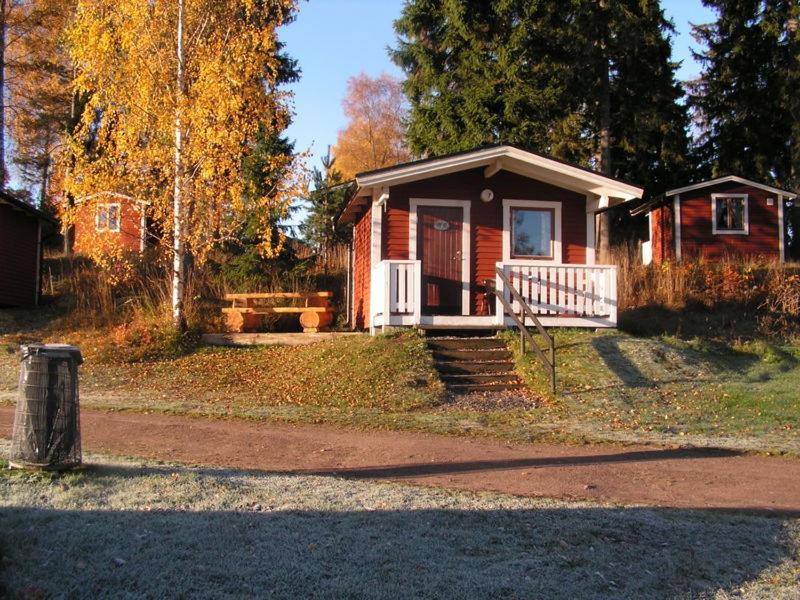Photo 51