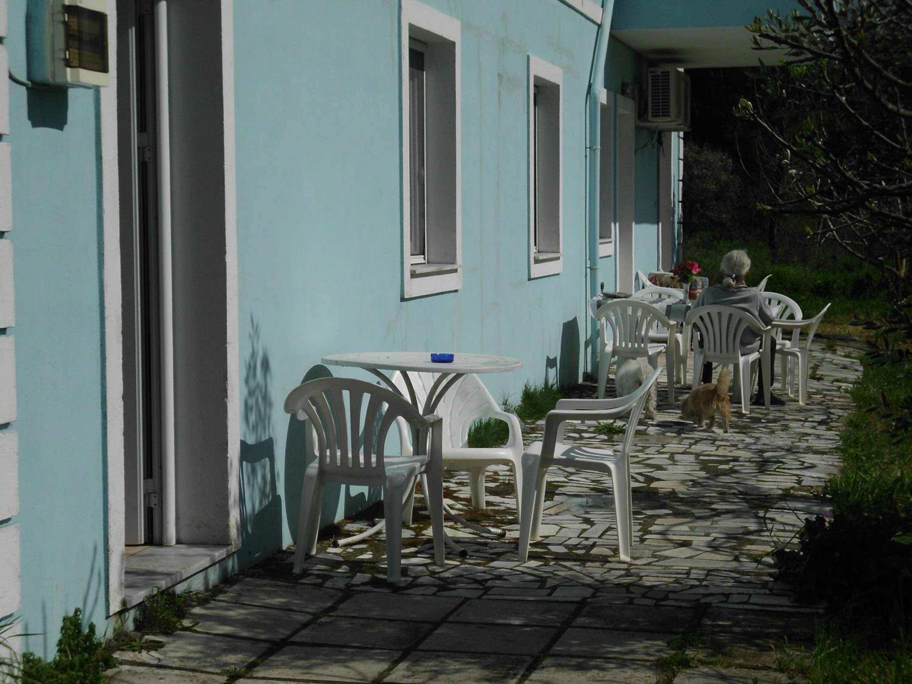 Photo 10