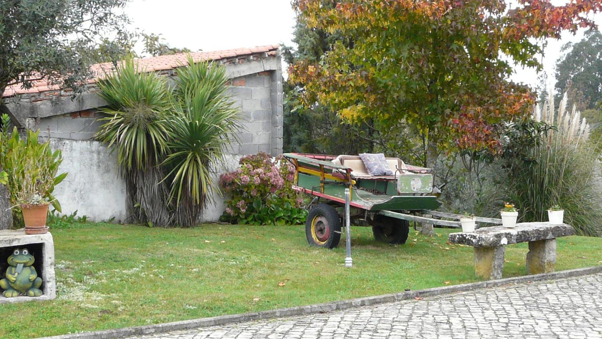 Photo 29