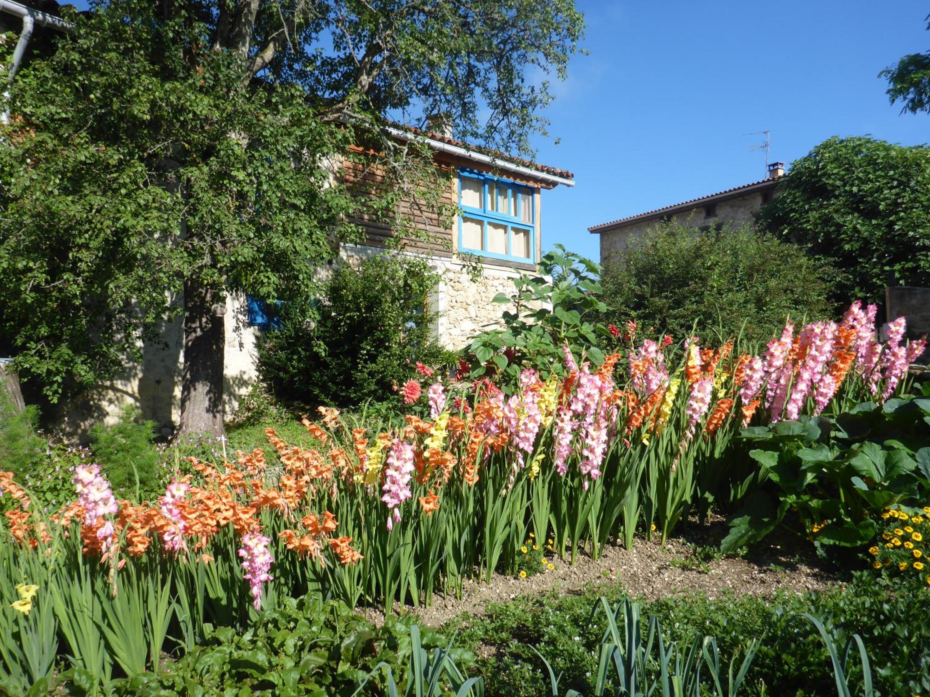 Photo 14