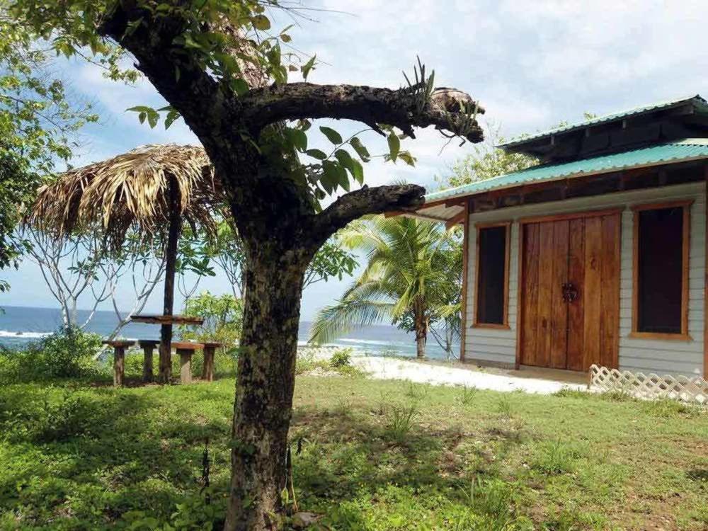 TreeTops Inn