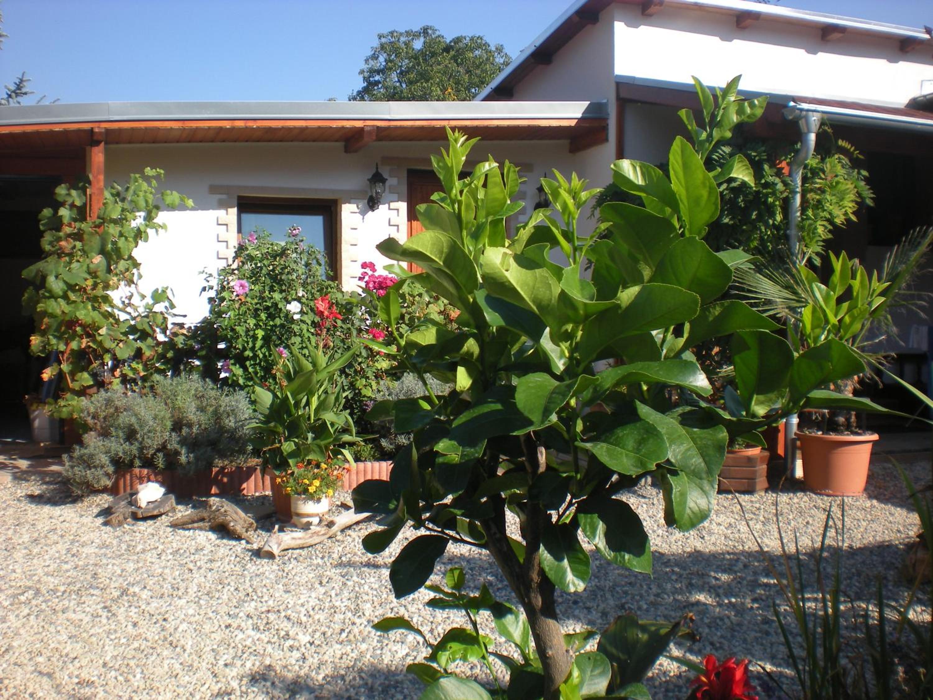 Sophia Cozy Self Catering Apartment