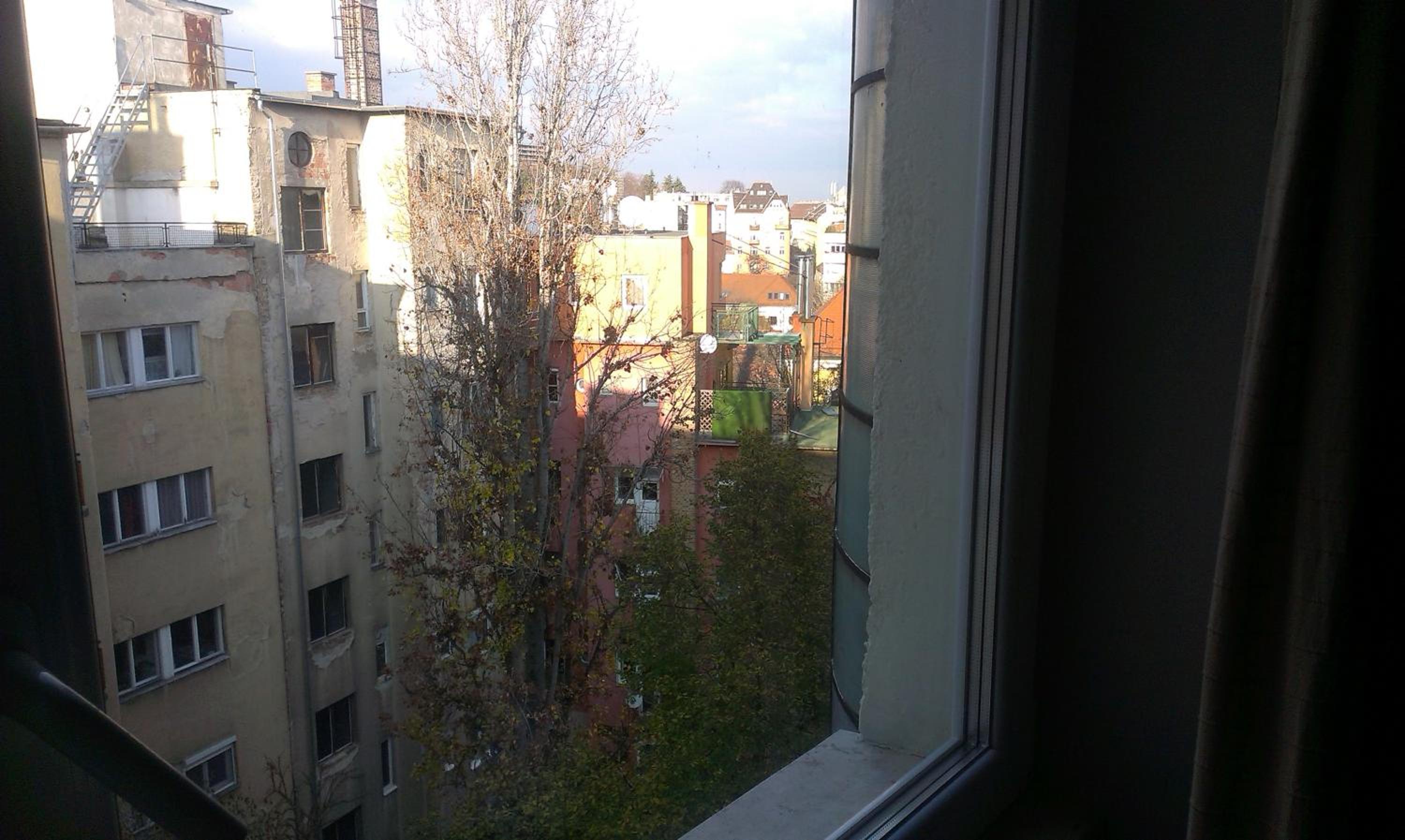 Photo 119